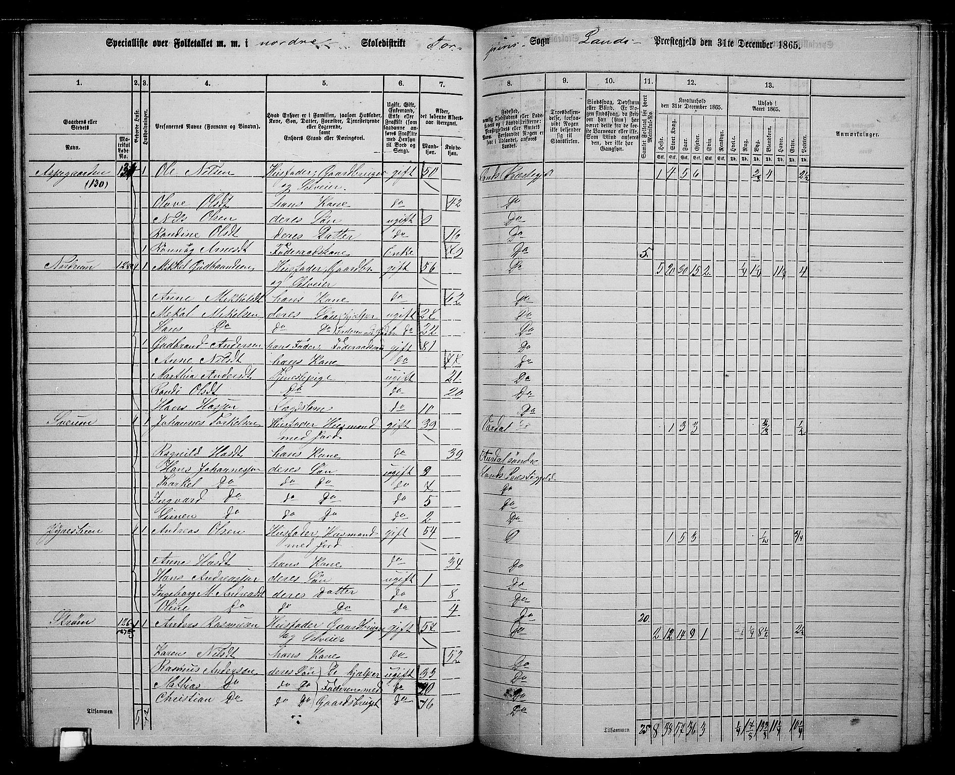 RA, 1865 census for Land, 1865, p. 144