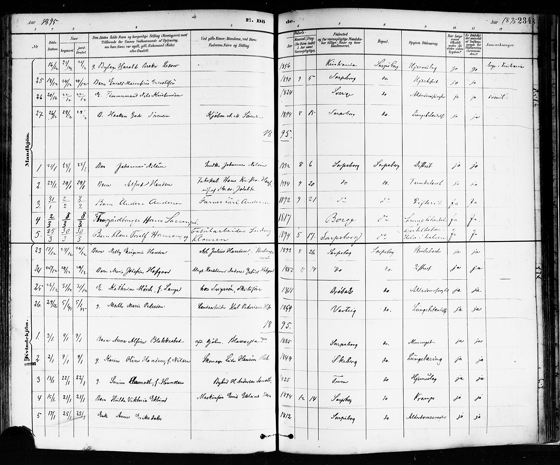 Sarpsborg prestekontor Kirkebøker, SAO/A-2006/F/Fa/L0004: Parish register (official) no. 4, 1892-1899, p. 234