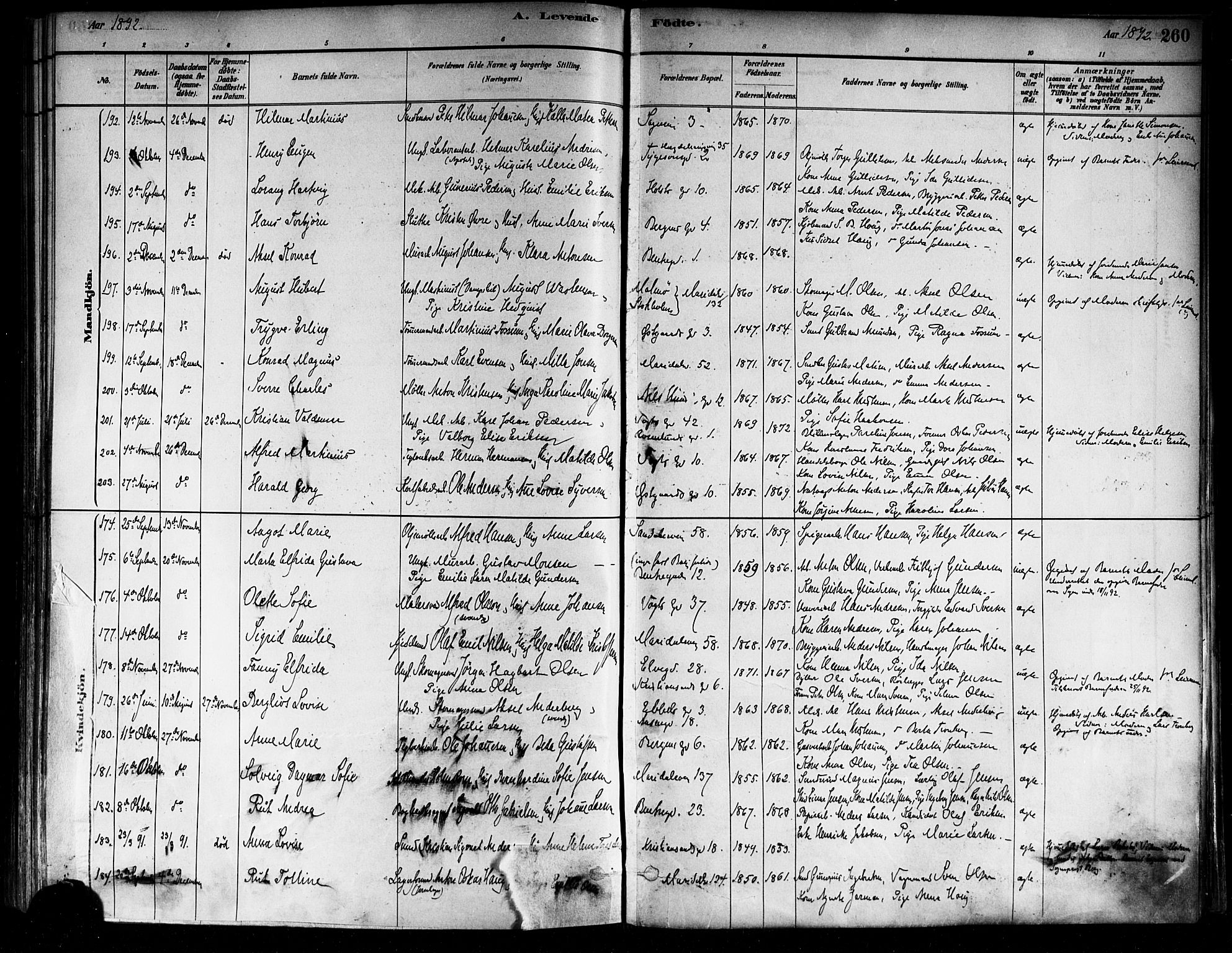 Sagene prestekontor Kirkebøker, AV/SAO-A-10796/F/L0001: Parish register (official) no. 1, 1880-1893, p. 260