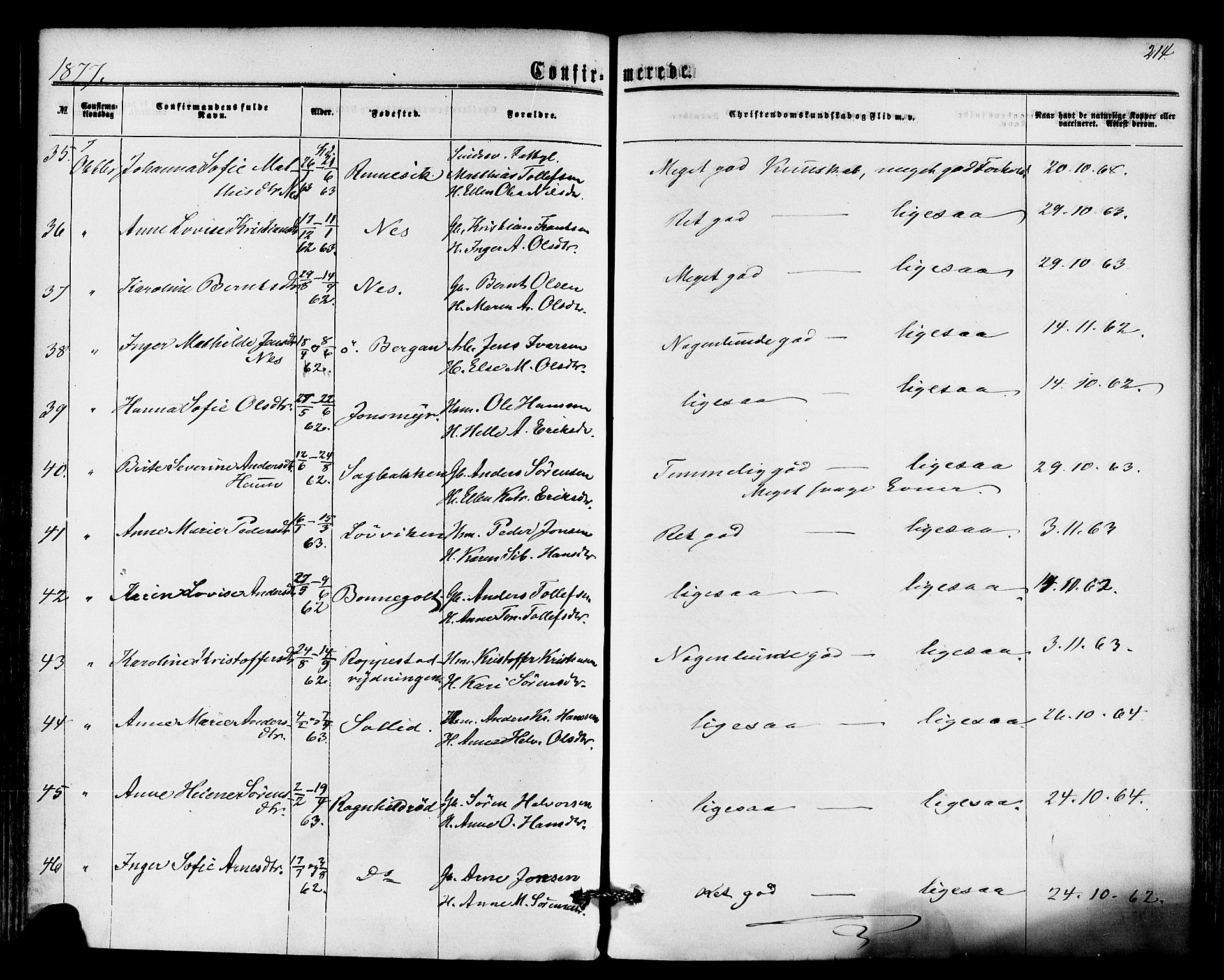 Hedrum kirkebøker, AV/SAKO-A-344/F/Fa/L0008: Parish register (official) no. I 8, 1869-1880, p. 214