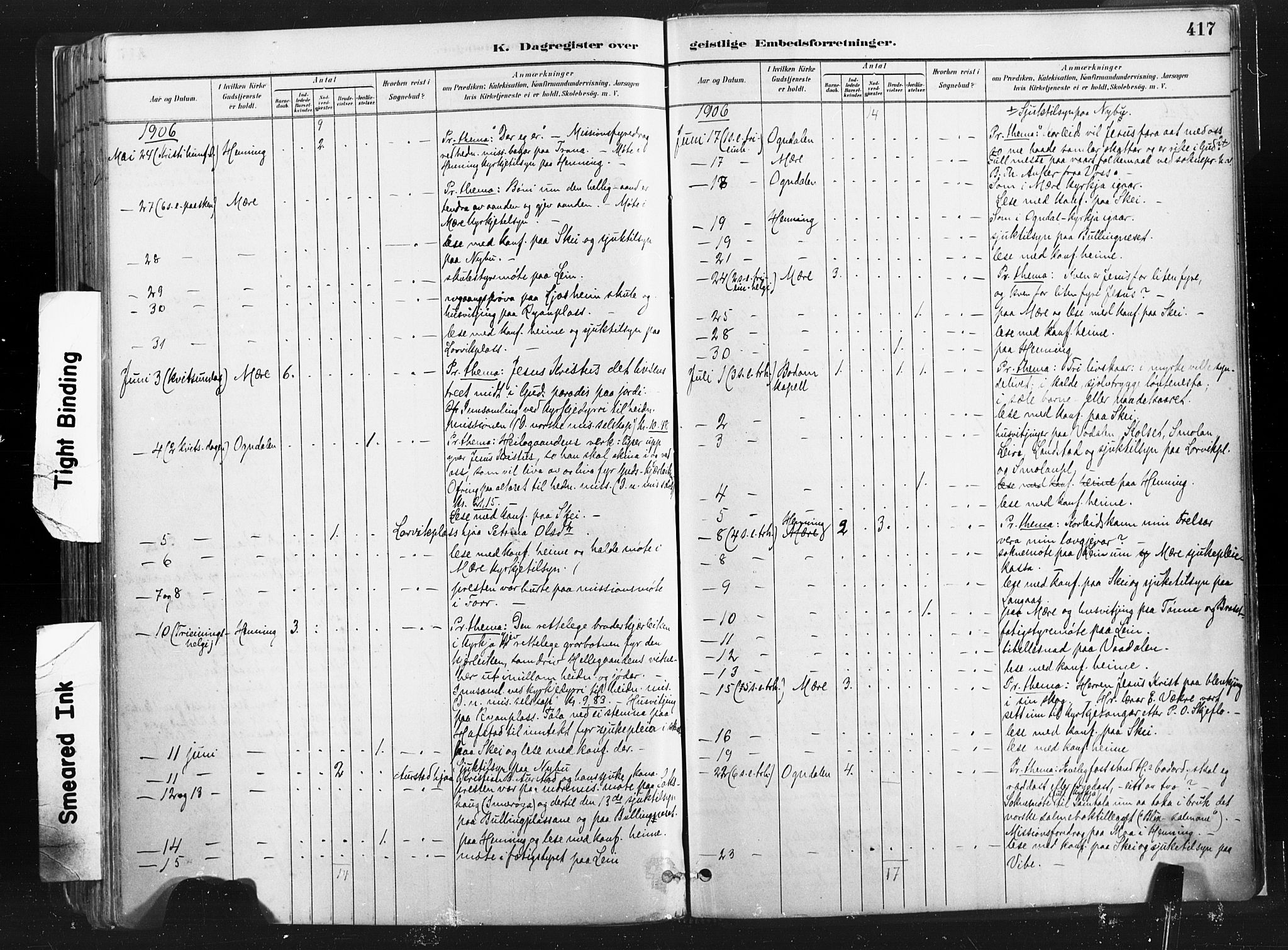 Ministerialprotokoller, klokkerbøker og fødselsregistre - Nord-Trøndelag, AV/SAT-A-1458/735/L0351: Parish register (official) no. 735A10, 1884-1908, p. 417