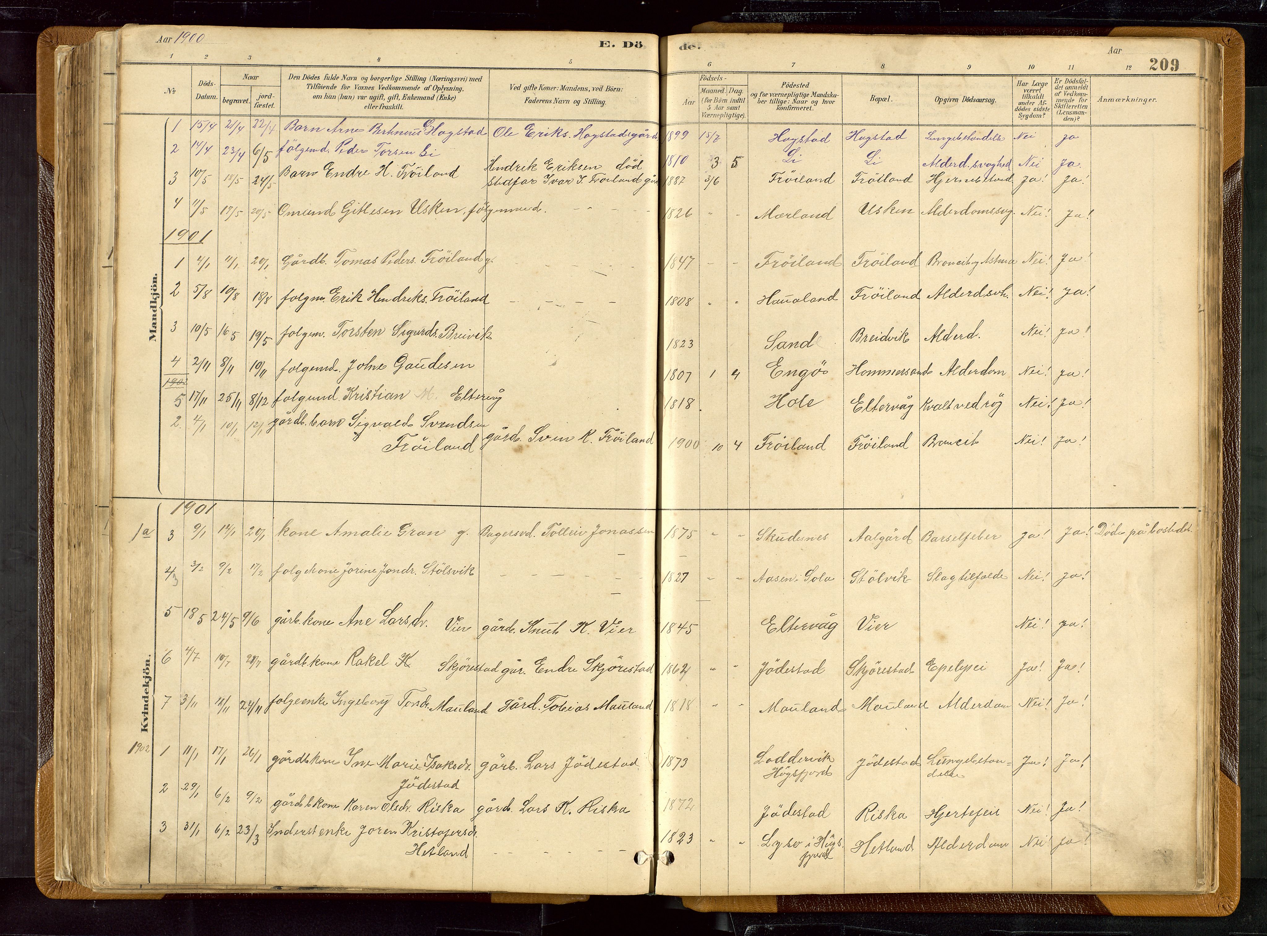 Hetland sokneprestkontor, SAST/A-101826/30/30BB/L0007: Parish register (copy) no. B 7, 1878-1910, p. 209