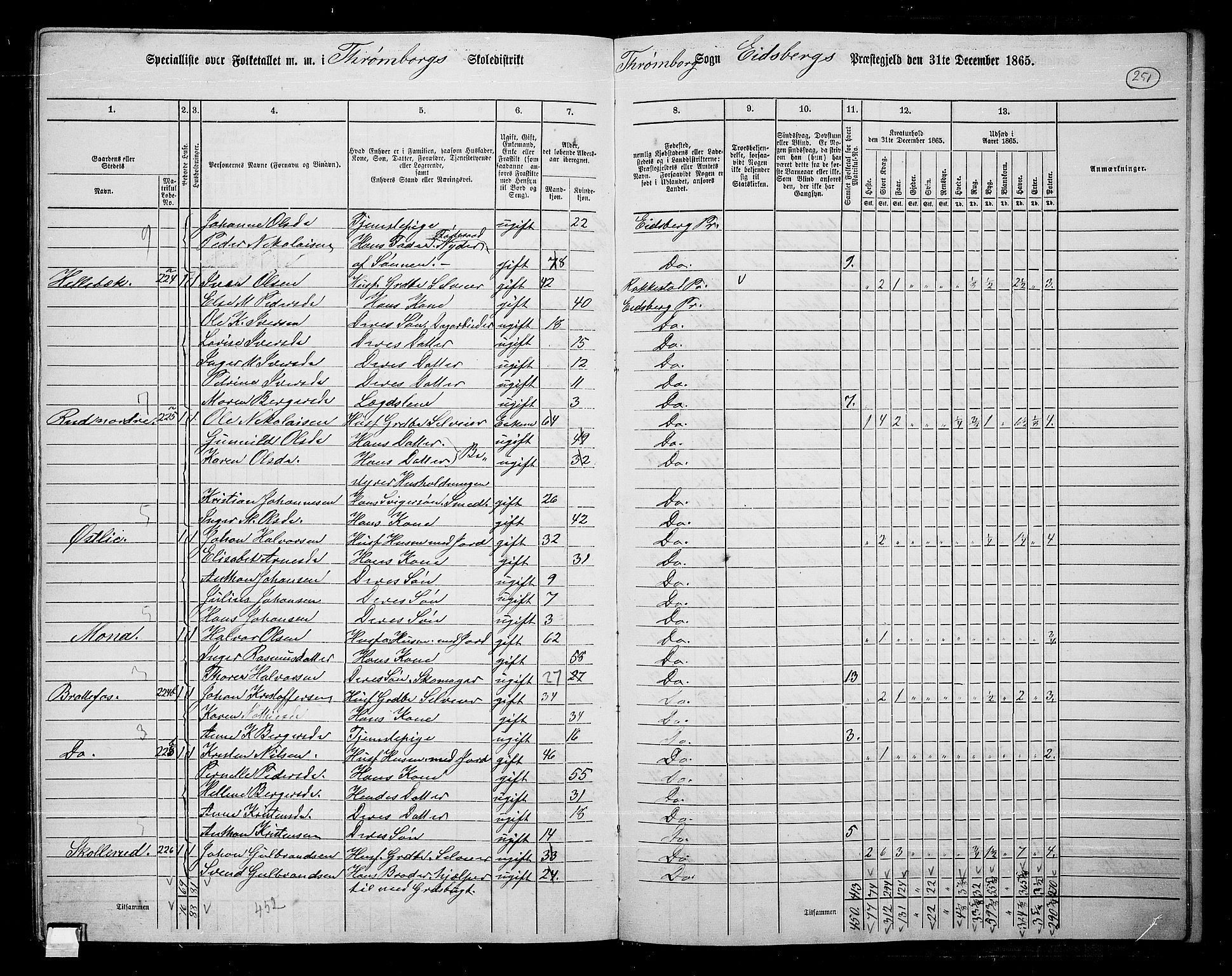 RA, 1865 census for Eidsberg, 1865, p. 228