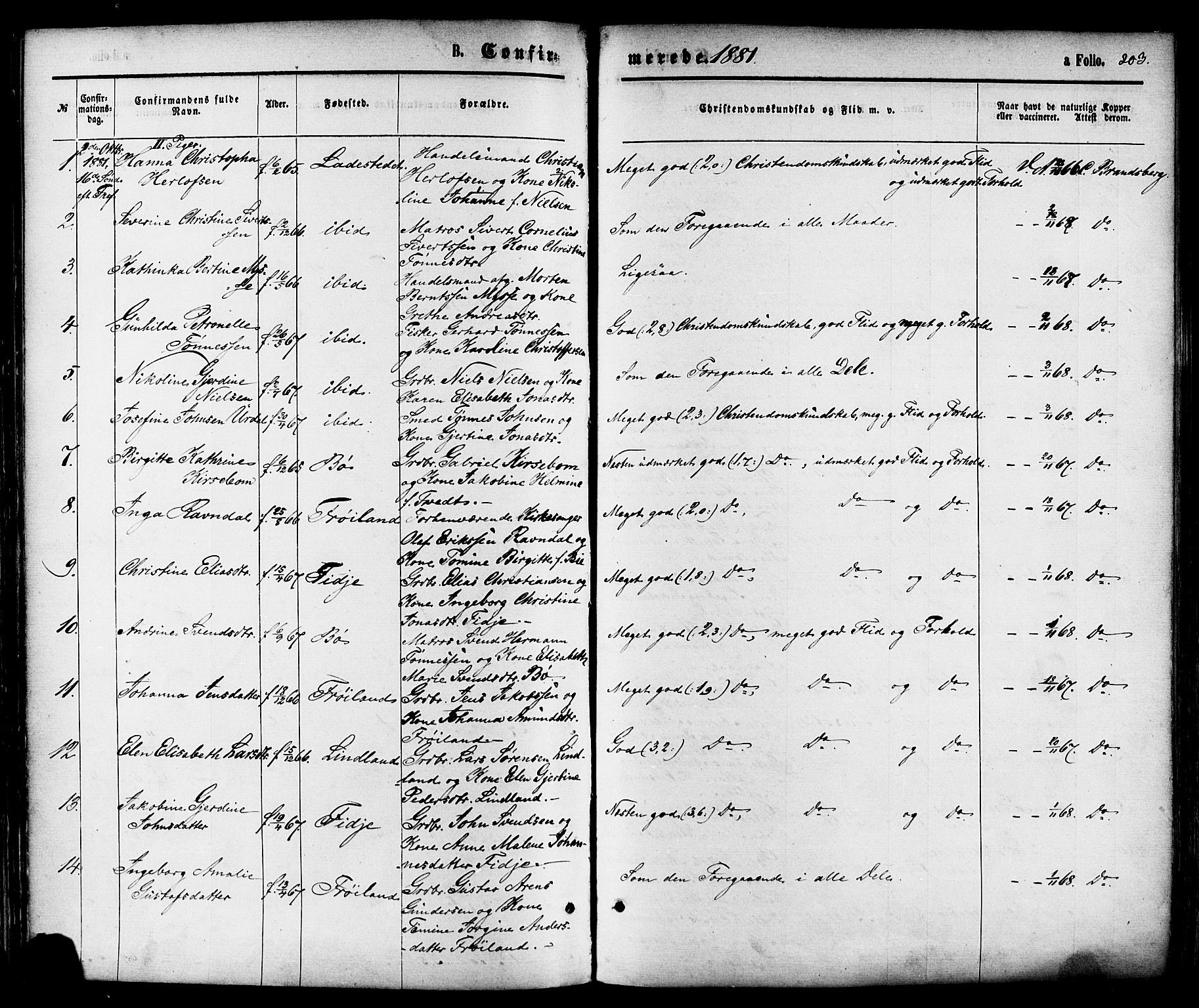 Sokndal sokneprestkontor, AV/SAST-A-101808: Parish register (official) no. A 10, 1874-1886, p. 203