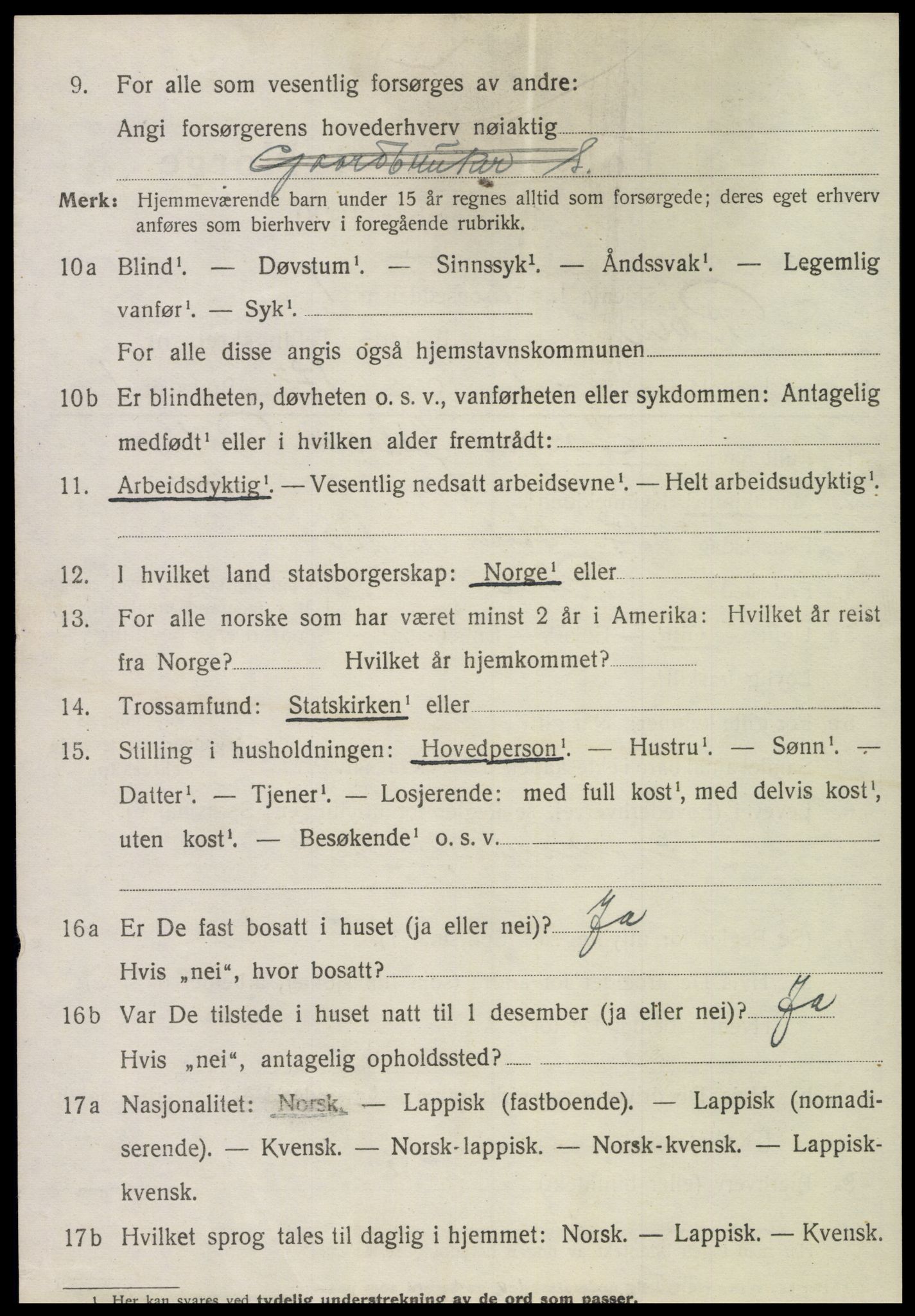 SAT, 1920 census for Røra, 1920, p. 1504