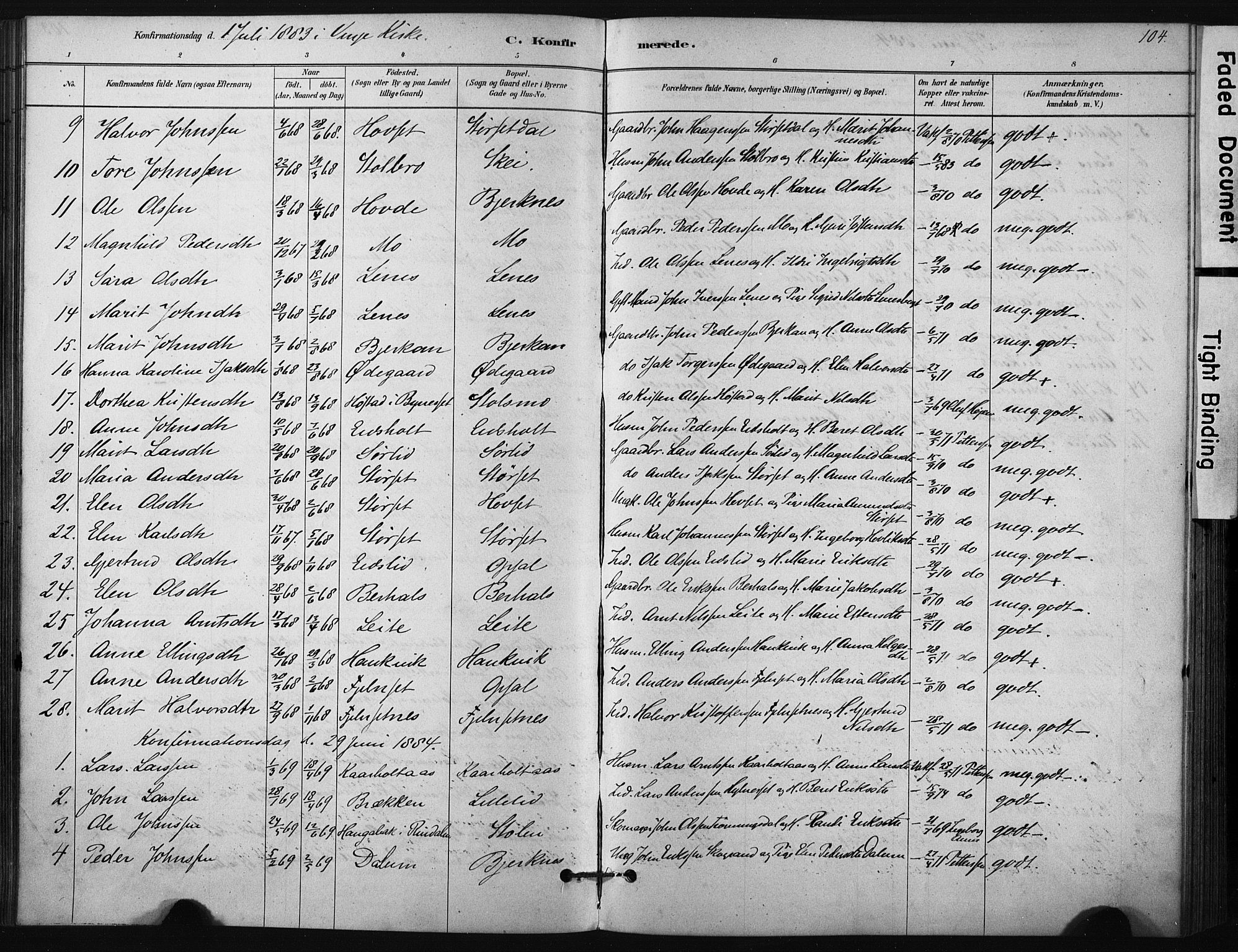 Ministerialprotokoller, klokkerbøker og fødselsregistre - Sør-Trøndelag, SAT/A-1456/631/L0512: Parish register (official) no. 631A01, 1879-1912, p. 104