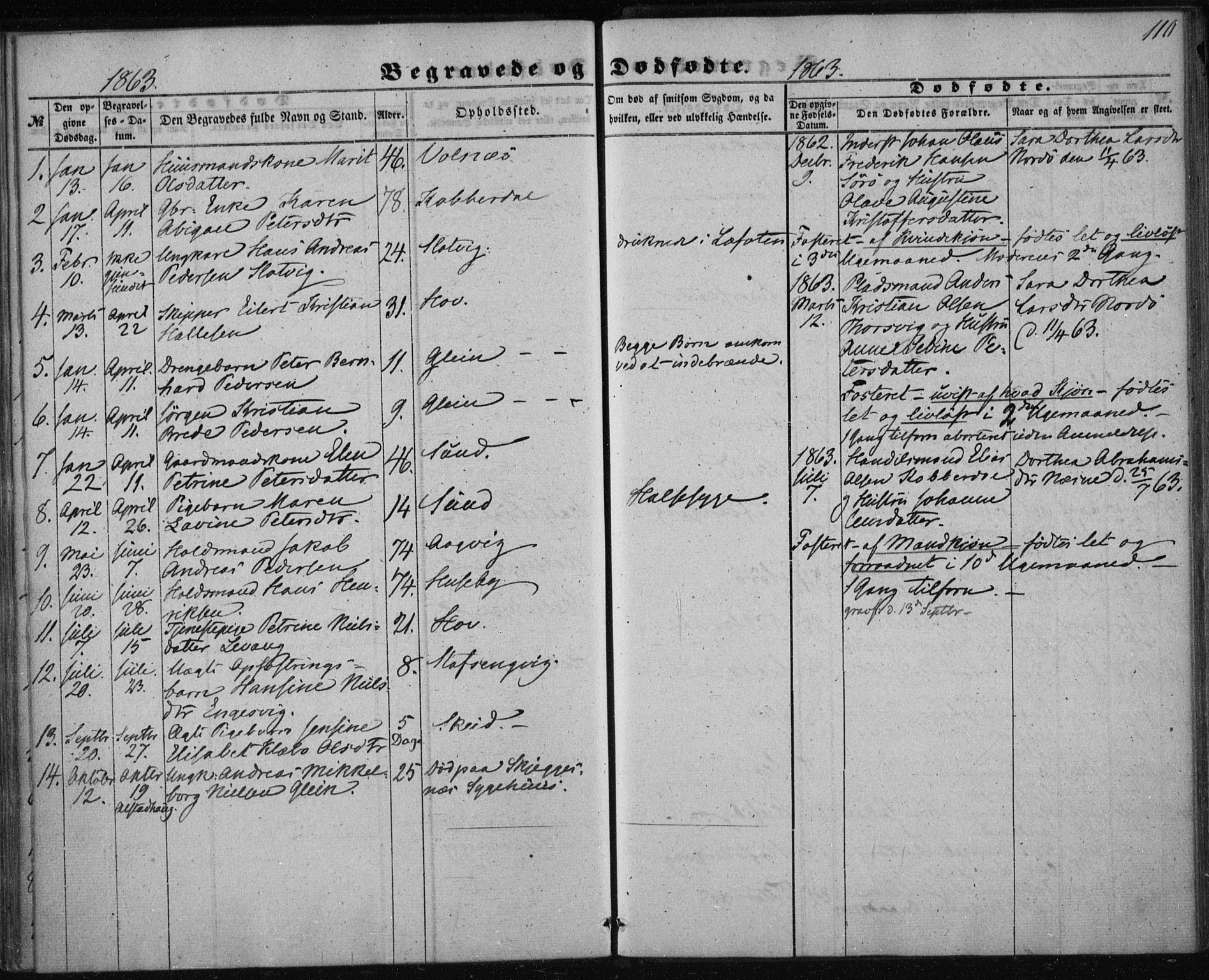 Ministerialprotokoller, klokkerbøker og fødselsregistre - Nordland, AV/SAT-A-1459/835/L0523: Parish register (official) no. 835A01, 1855-1865, p. 110