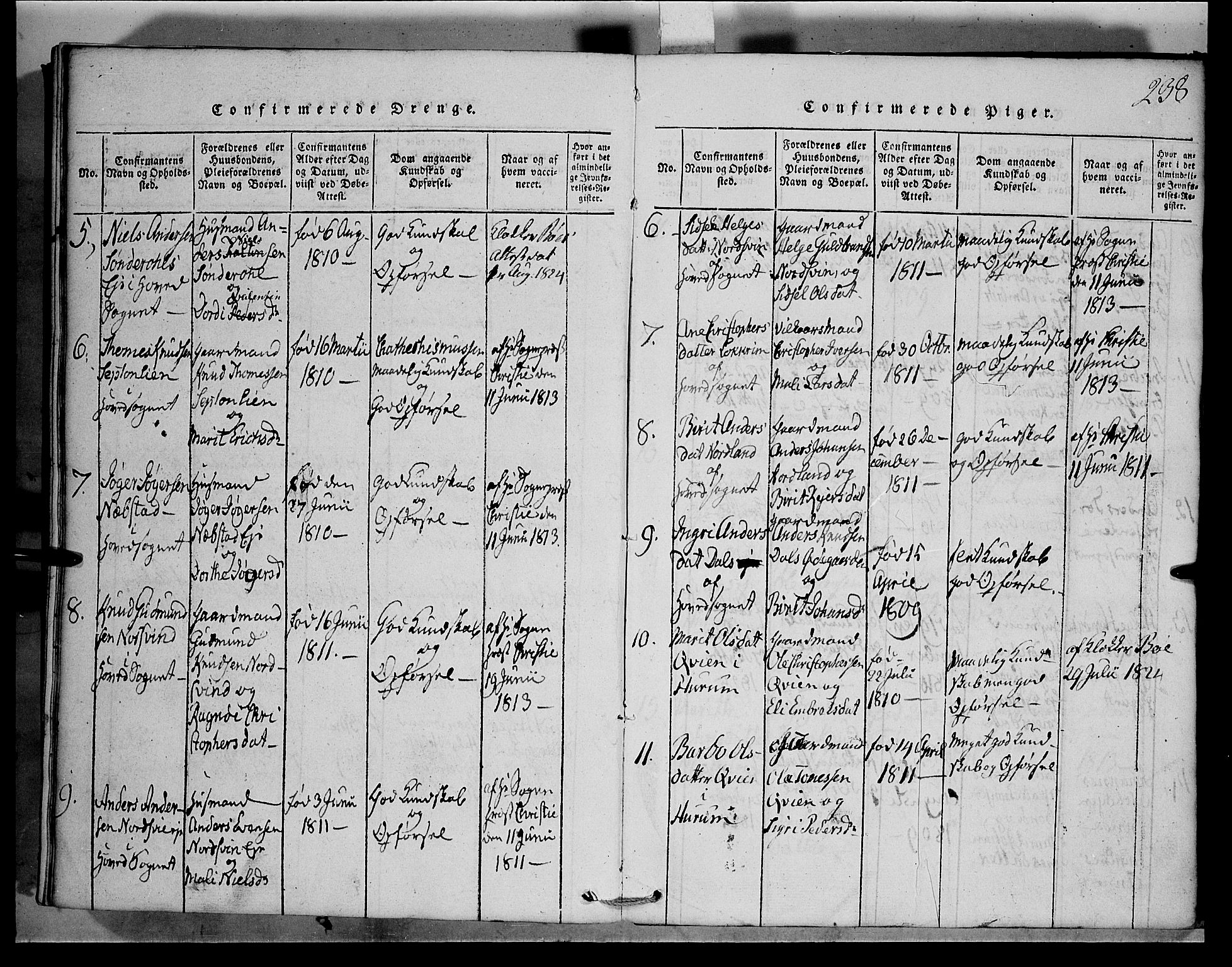 Vang prestekontor, Valdres, SAH/PREST-140/H/Hb/L0001: Parish register (copy) no. 1, 1814-1820, p. 238