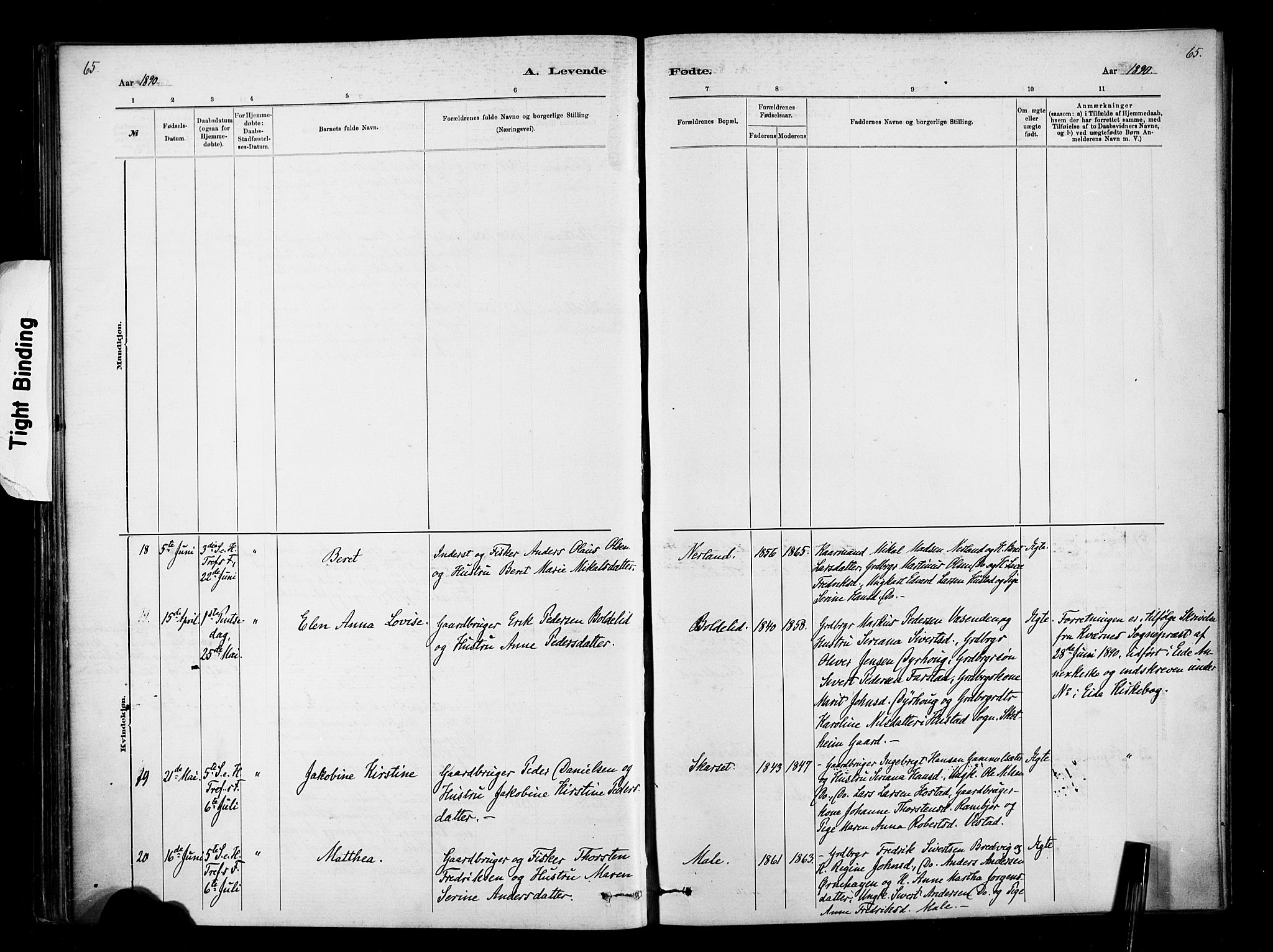 Ministerialprotokoller, klokkerbøker og fødselsregistre - Møre og Romsdal, AV/SAT-A-1454/567/L0778: Parish register (official) no. 567A01, 1881-1903, p. 65