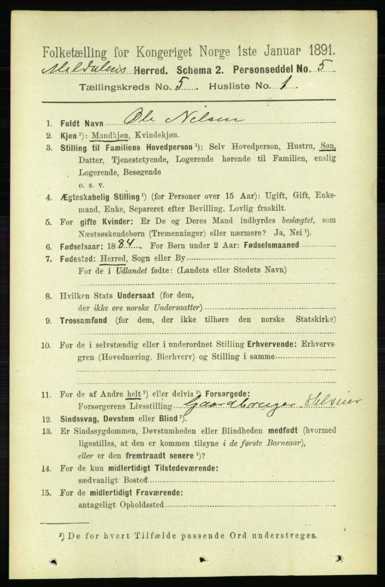 RA, 1891 census for 1636 Meldal, 1891, p. 2519