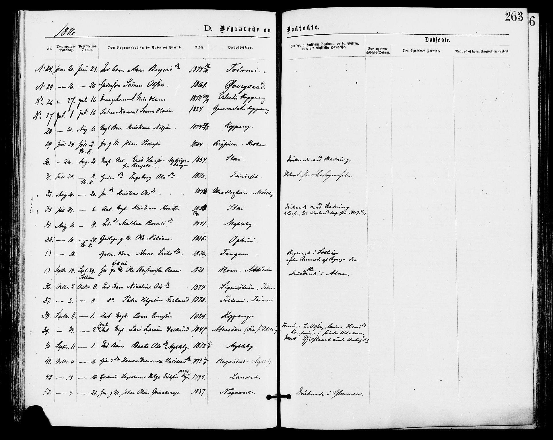Stor-Elvdal prestekontor, SAH/PREST-052/H/Ha/Haa/L0001: Parish register (official) no. 1, 1871-1882, p. 263