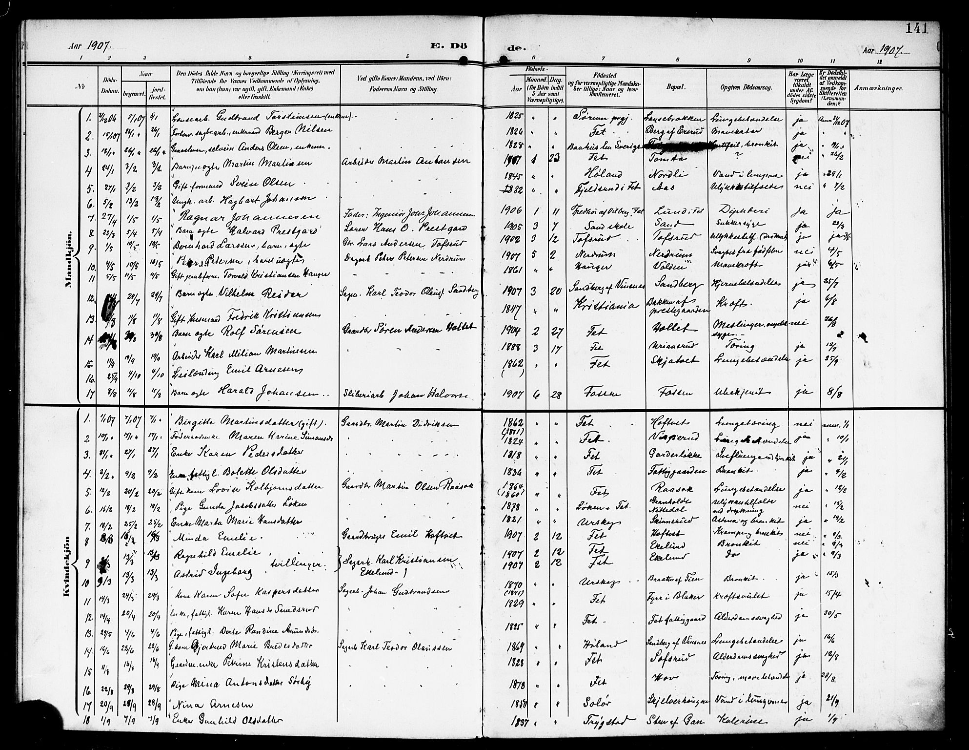 Fet prestekontor Kirkebøker, SAO/A-10370a/G/Ga/L0008: Parish register (copy) no. I 8, 1907-1920, p. 141