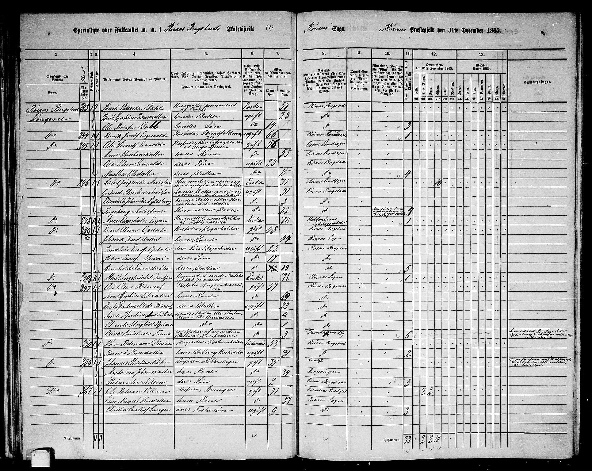 RA, 1865 census for Røros, 1865, p. 28