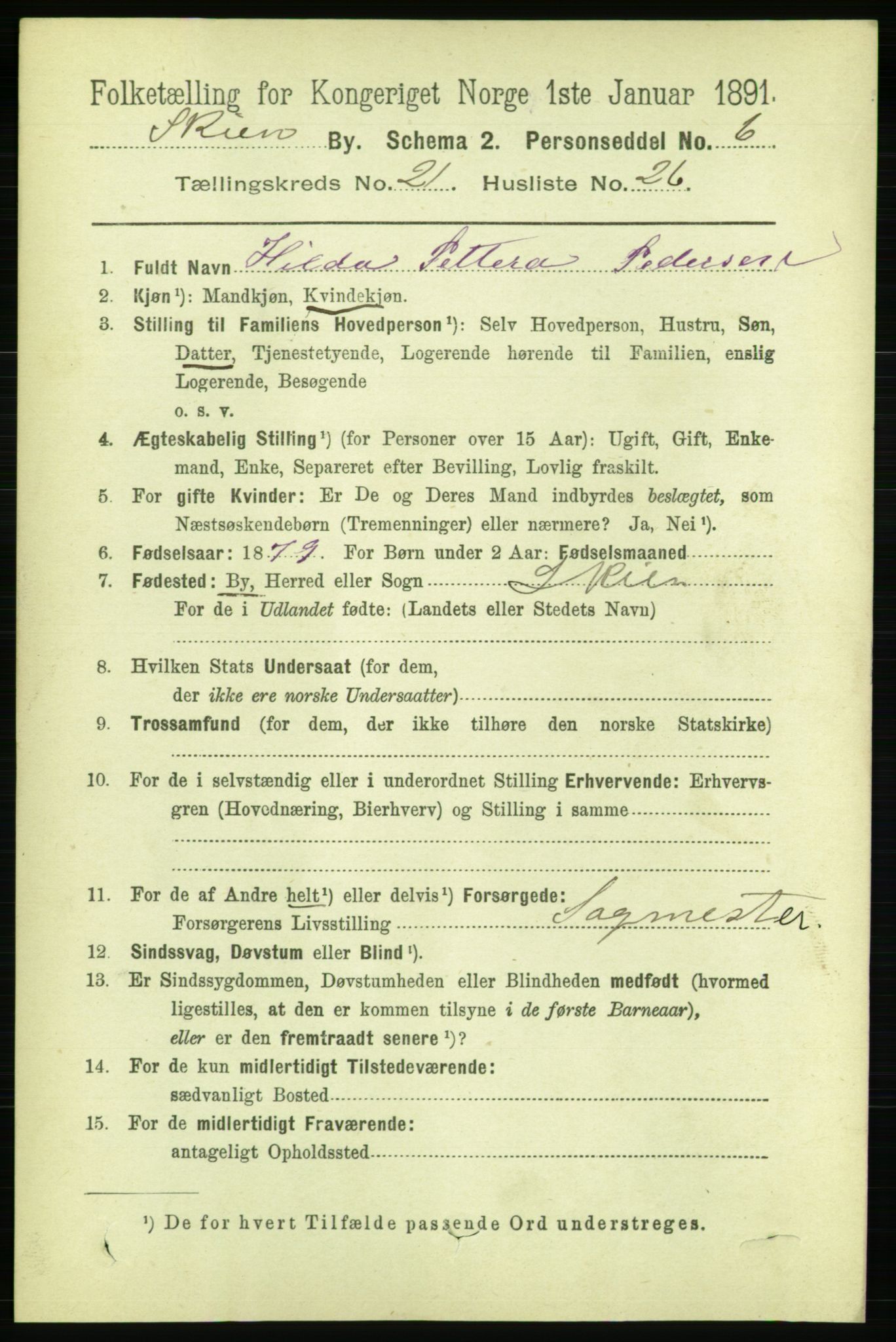 RA, 1891 census for 0806 Skien, 1891, p. 5660