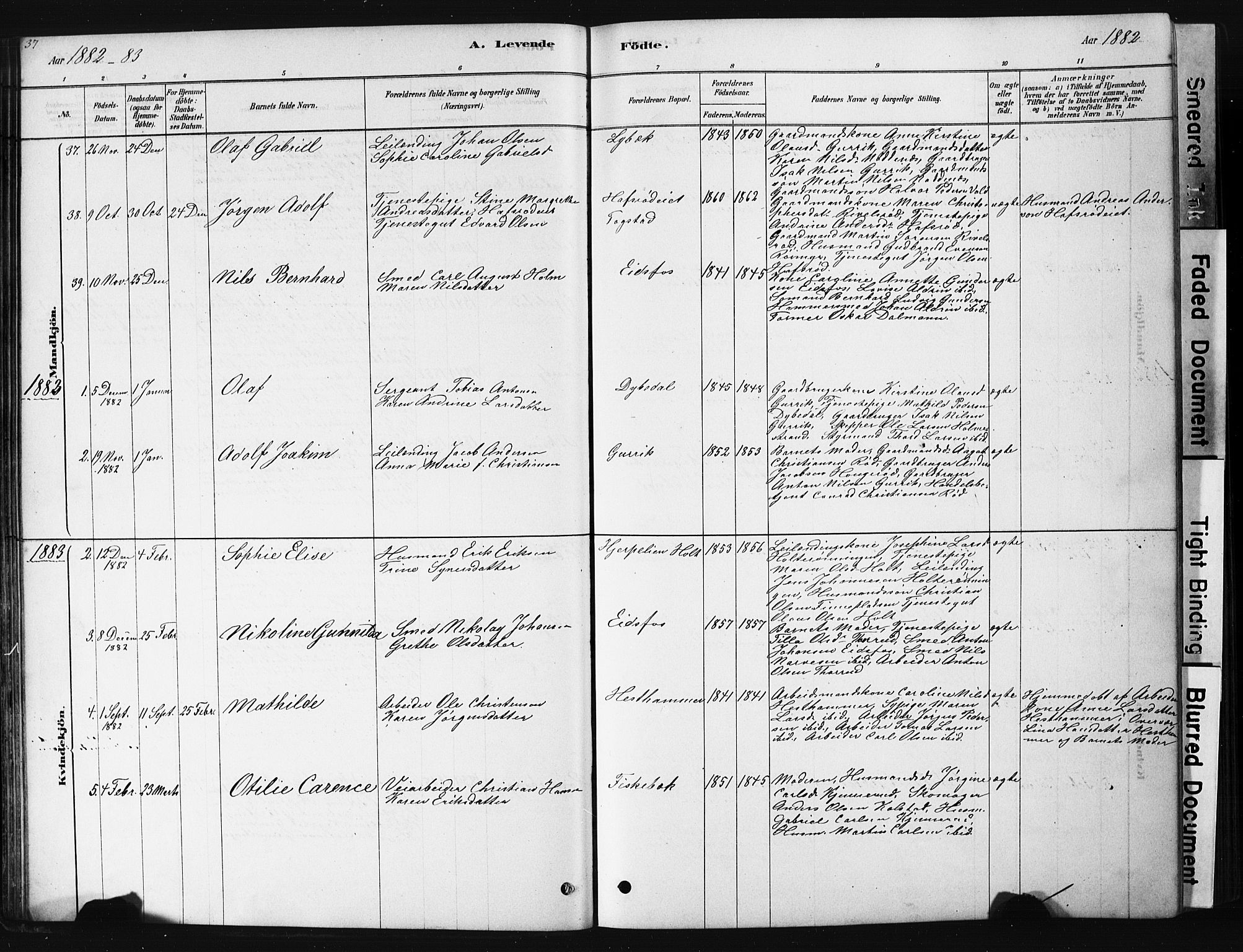 Hof kirkebøker, AV/SAKO-A-64/G/Ga/L0004: Parish register (copy) no. I 4, 1878-1930, p. 37