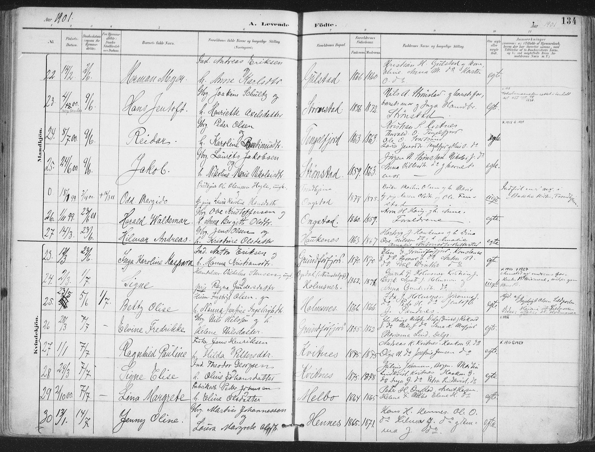 Ministerialprotokoller, klokkerbøker og fødselsregistre - Nordland, AV/SAT-A-1459/888/L1246: Parish register (official) no. 888A12, 1891-1903, p. 134