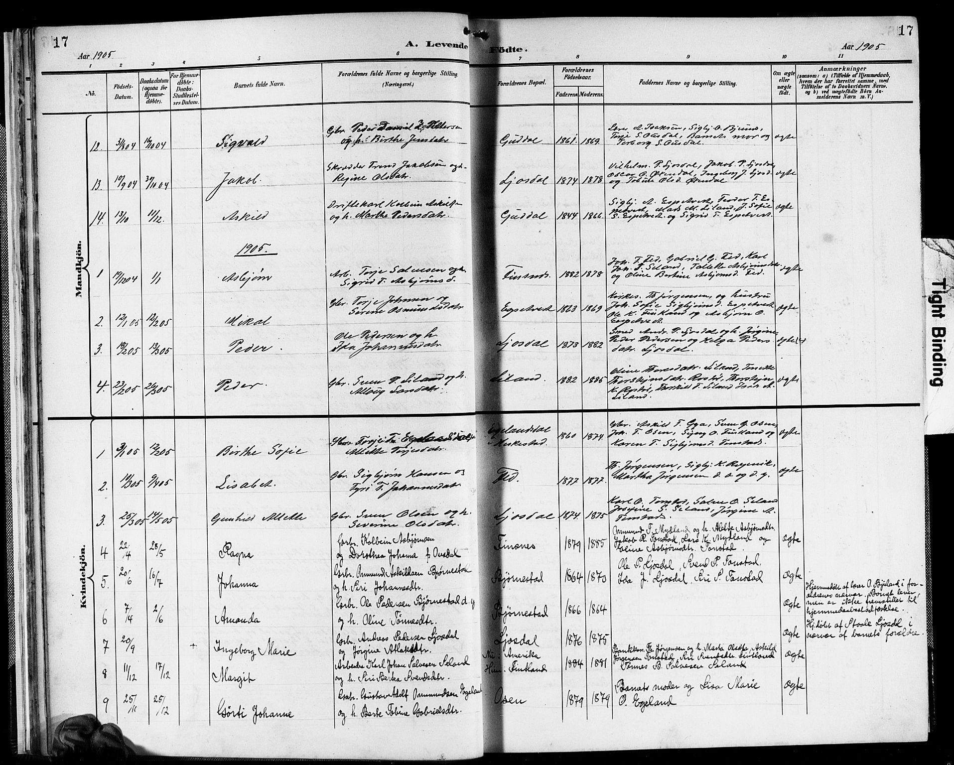 Sirdal sokneprestkontor, SAK/1111-0036/F/Fb/Fbb/L0004: Parish register (copy) no. B 4, 1895-1916, p. 17