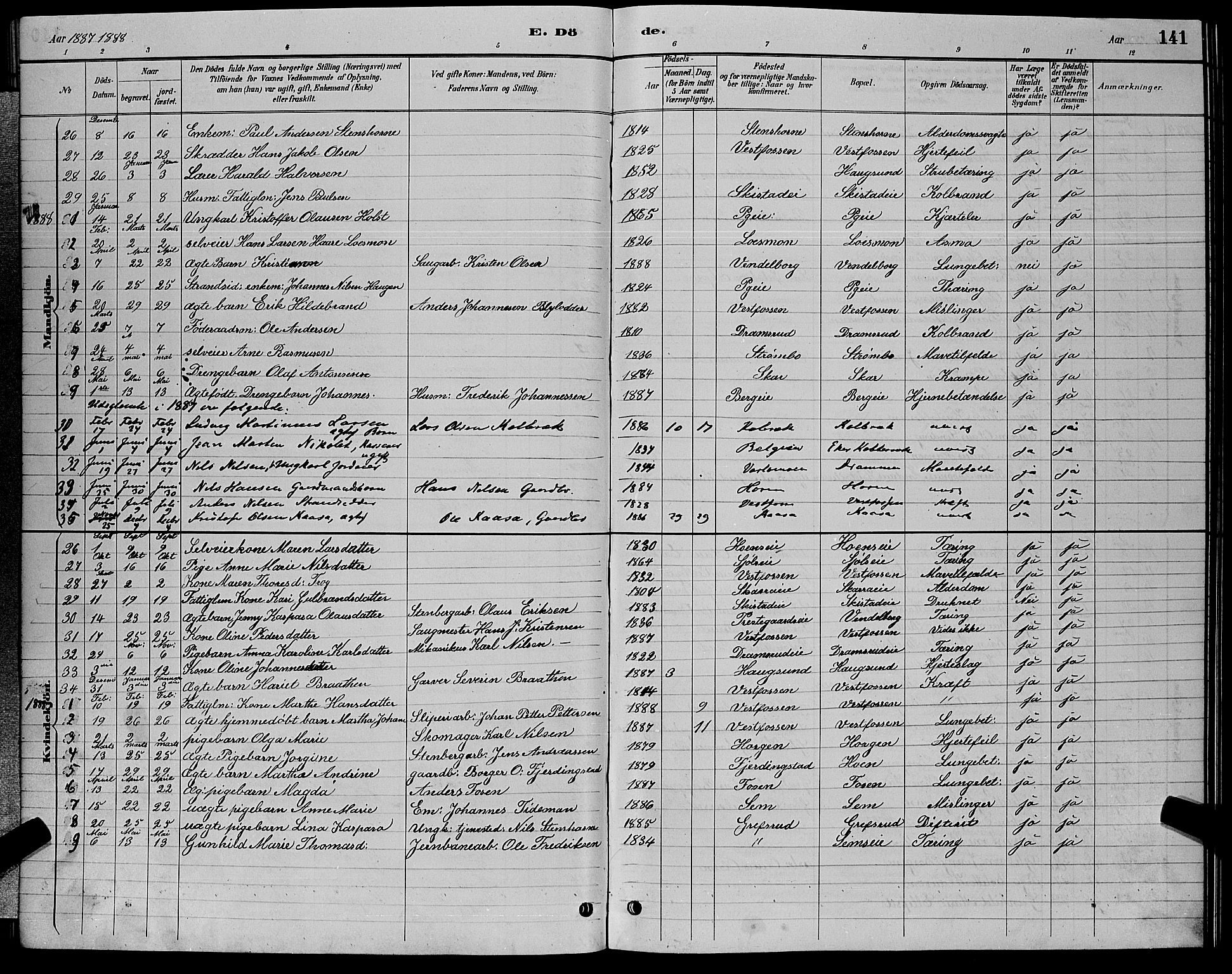 Eiker kirkebøker, SAKO/A-4/G/Ga/L0006: Parish register (copy) no. I 6, 1885-1893, p. 141