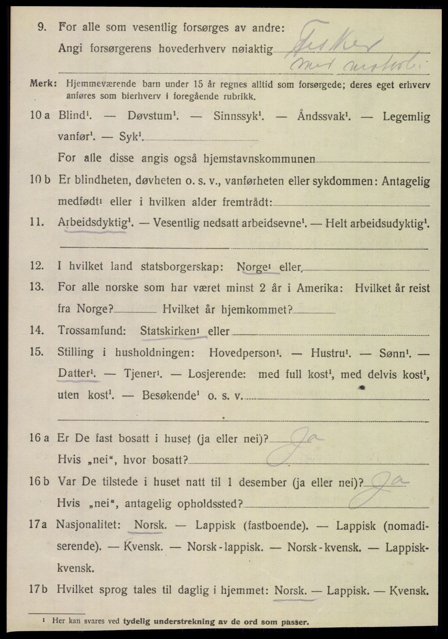 SAT, 1920 census for Dønnes, 1920, p. 1213