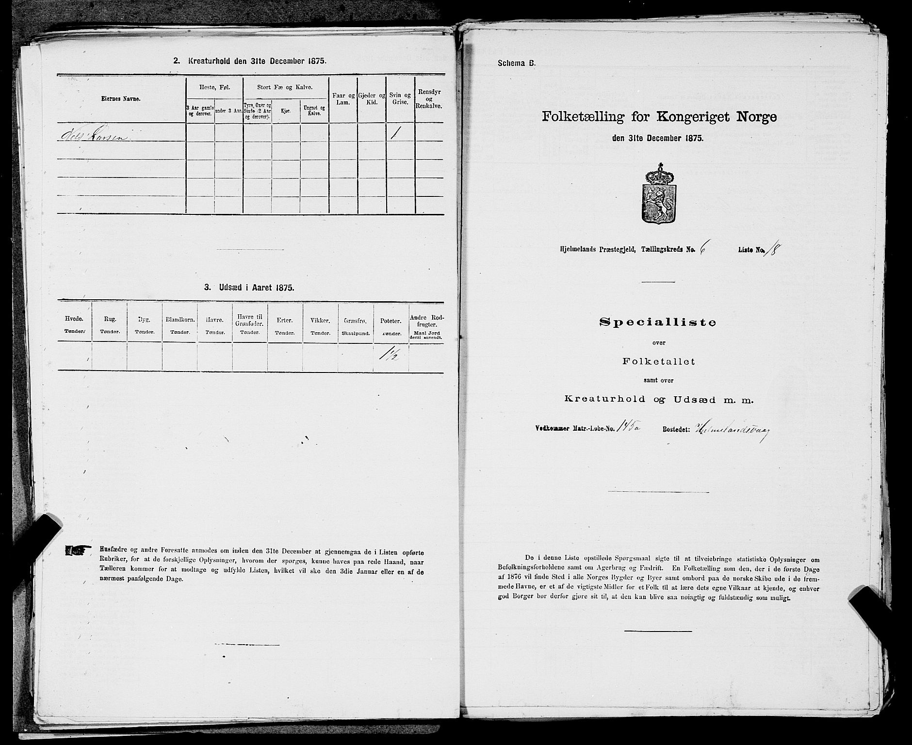 SAST, 1875 census for 1133P Hjelmeland, 1875, p. 719