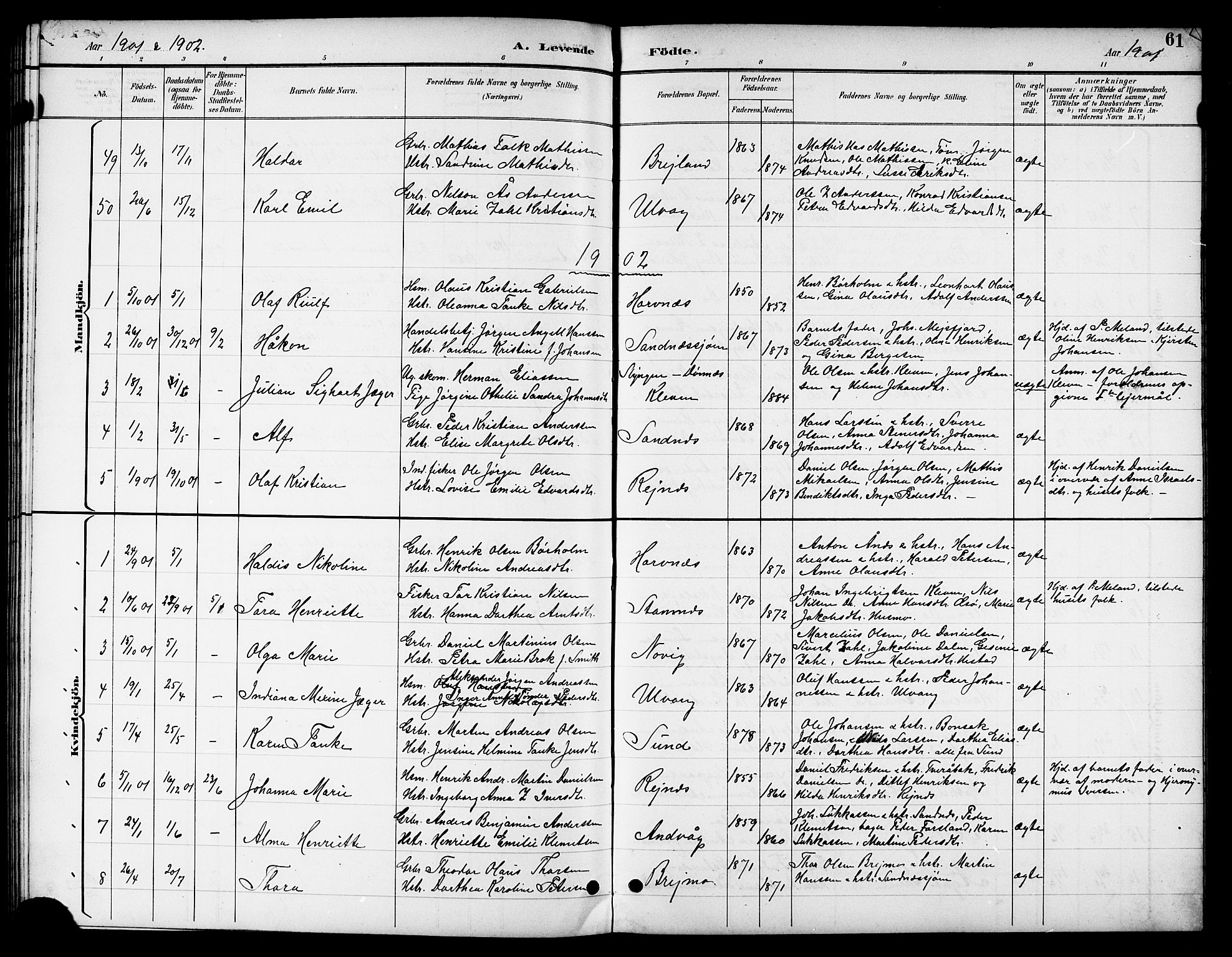 Ministerialprotokoller, klokkerbøker og fødselsregistre - Nordland, SAT/A-1459/831/L0478: Parish register (copy) no. 831C05, 1892-1909, p. 61