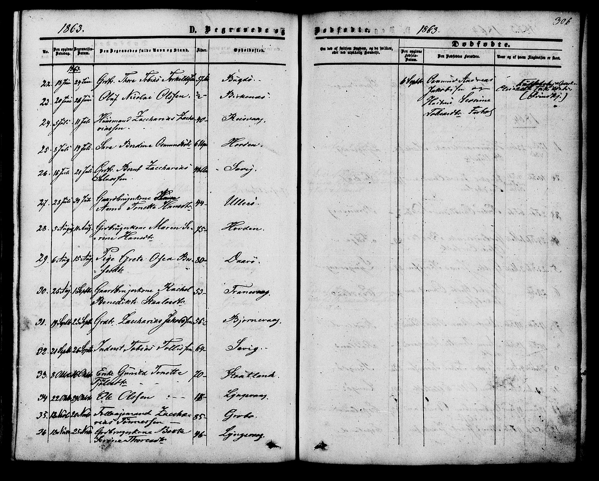Herad sokneprestkontor, SAK/1111-0018/F/Fa/Fab/L0004: Parish register (official) no. A 4, 1853-1885, p. 306