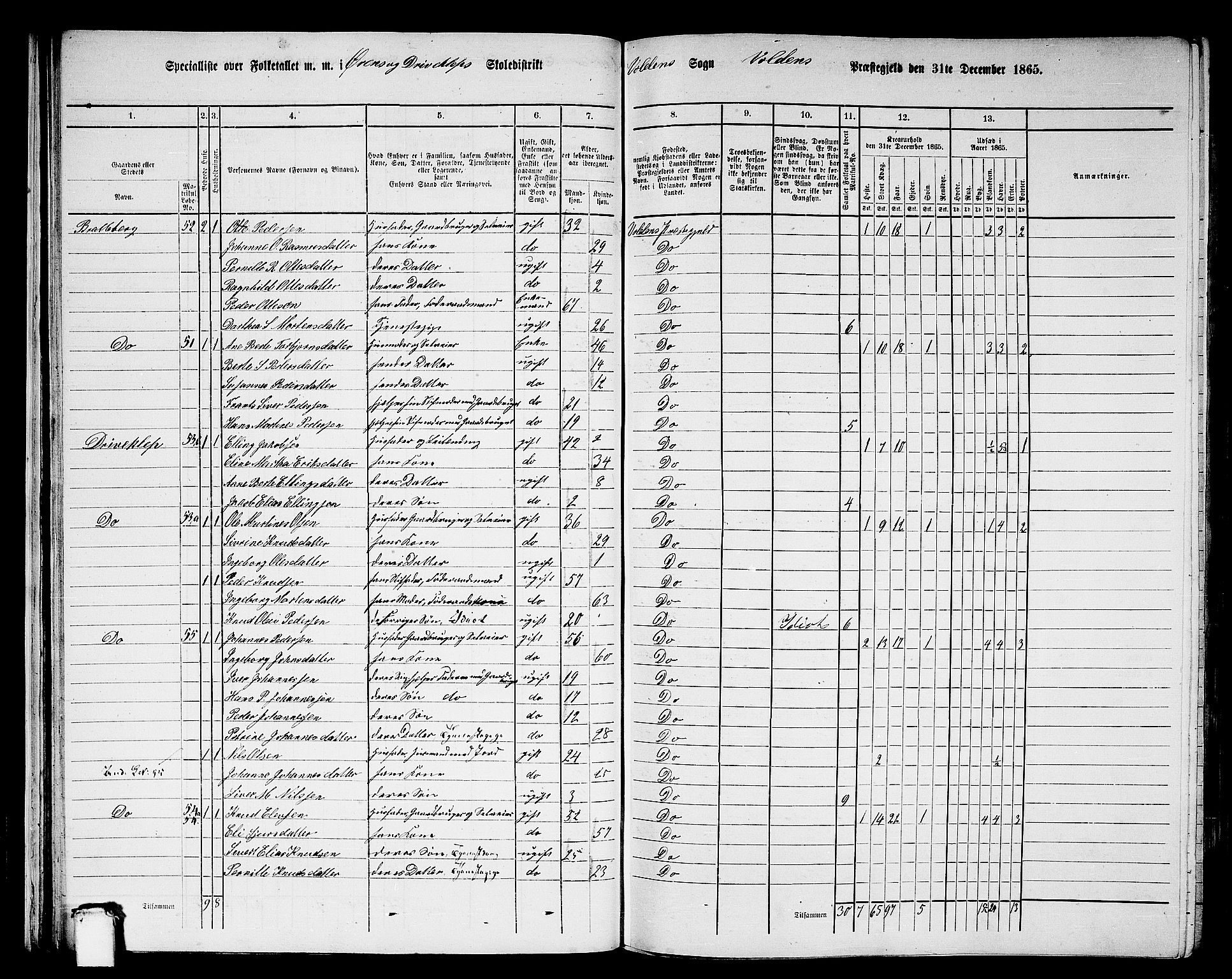 RA, 1865 census for Volda, 1865, p. 36