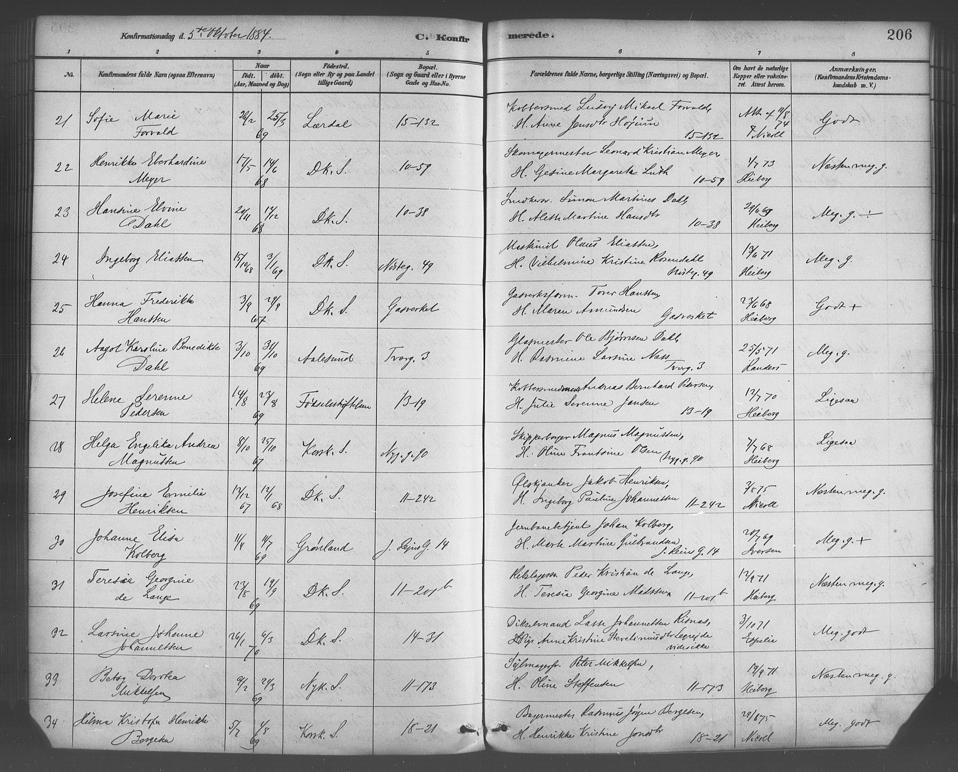 Domkirken sokneprestembete, AV/SAB-A-74801/H/Haa/L0030: Parish register (official) no. C 5, 1880-1898, p. 206