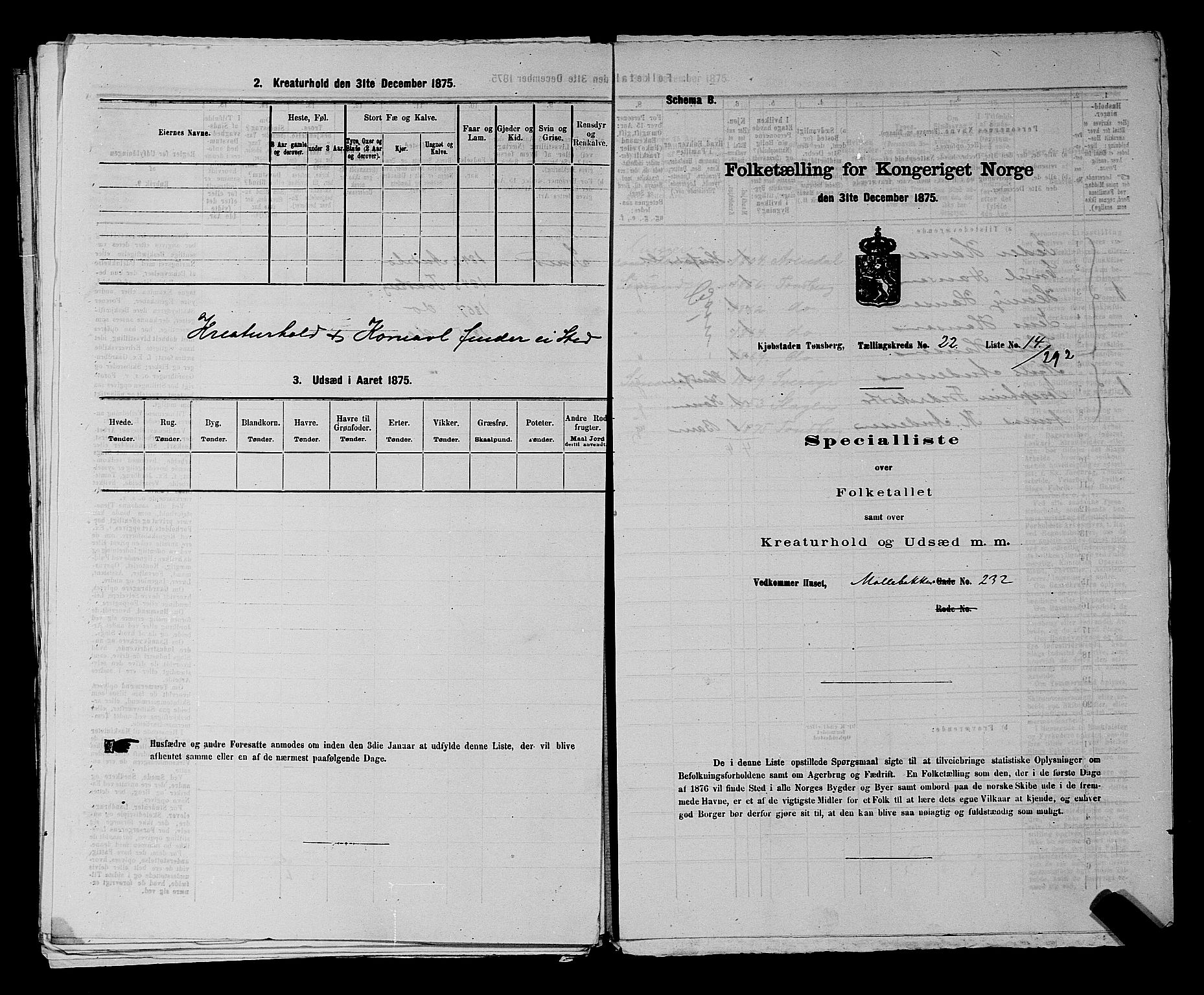 SAKO, 1875 census for 0705P Tønsberg, 1875, p. 717