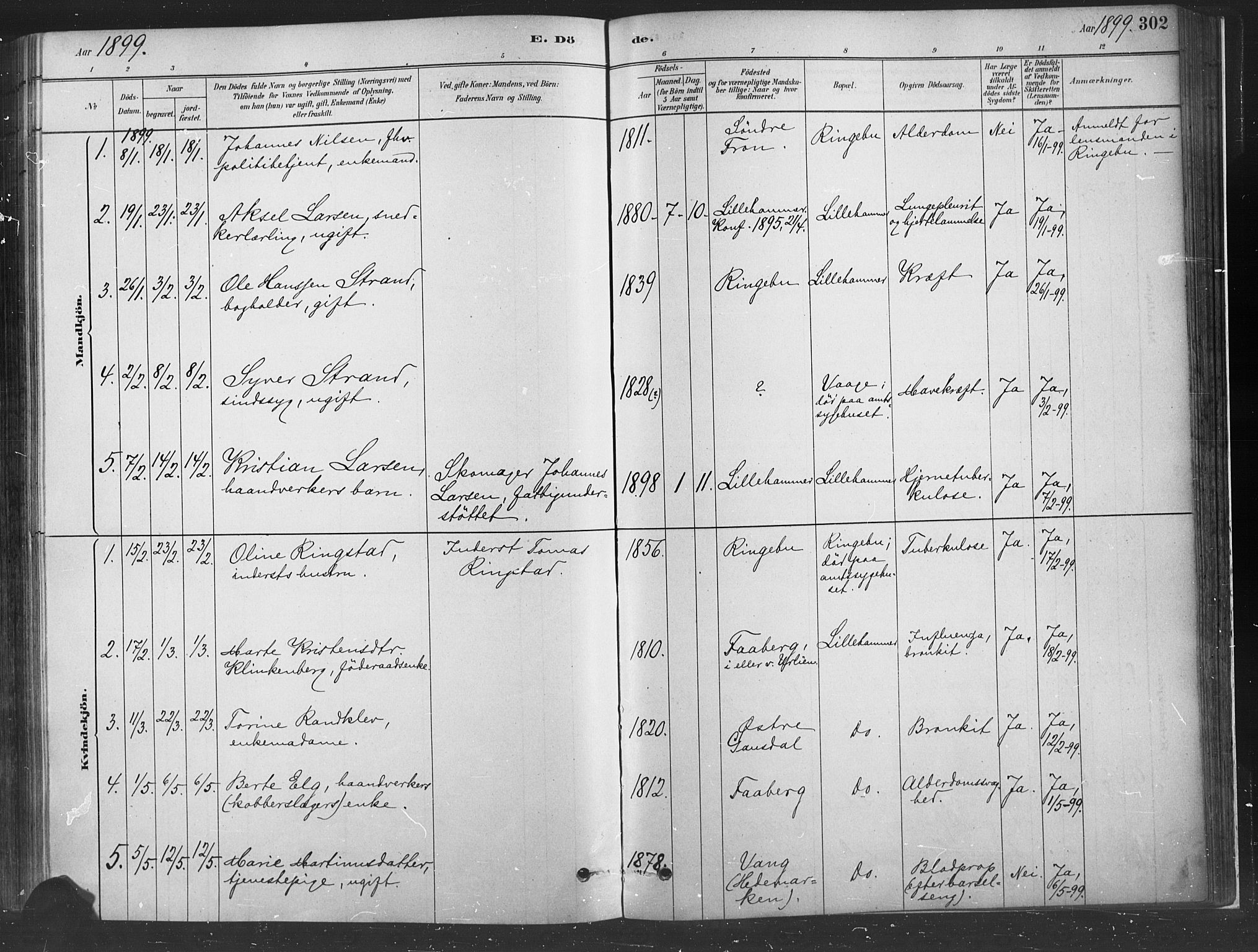 Fåberg prestekontor, SAH/PREST-086/H/Ha/Haa/L0010: Parish register (official) no. 10, 1879-1900, p. 302