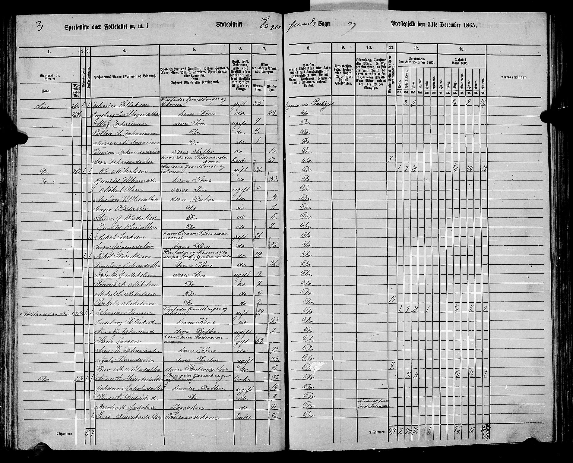 RA, 1865 census for Eigersund/Eigersund og Ogna, 1865, p. 82