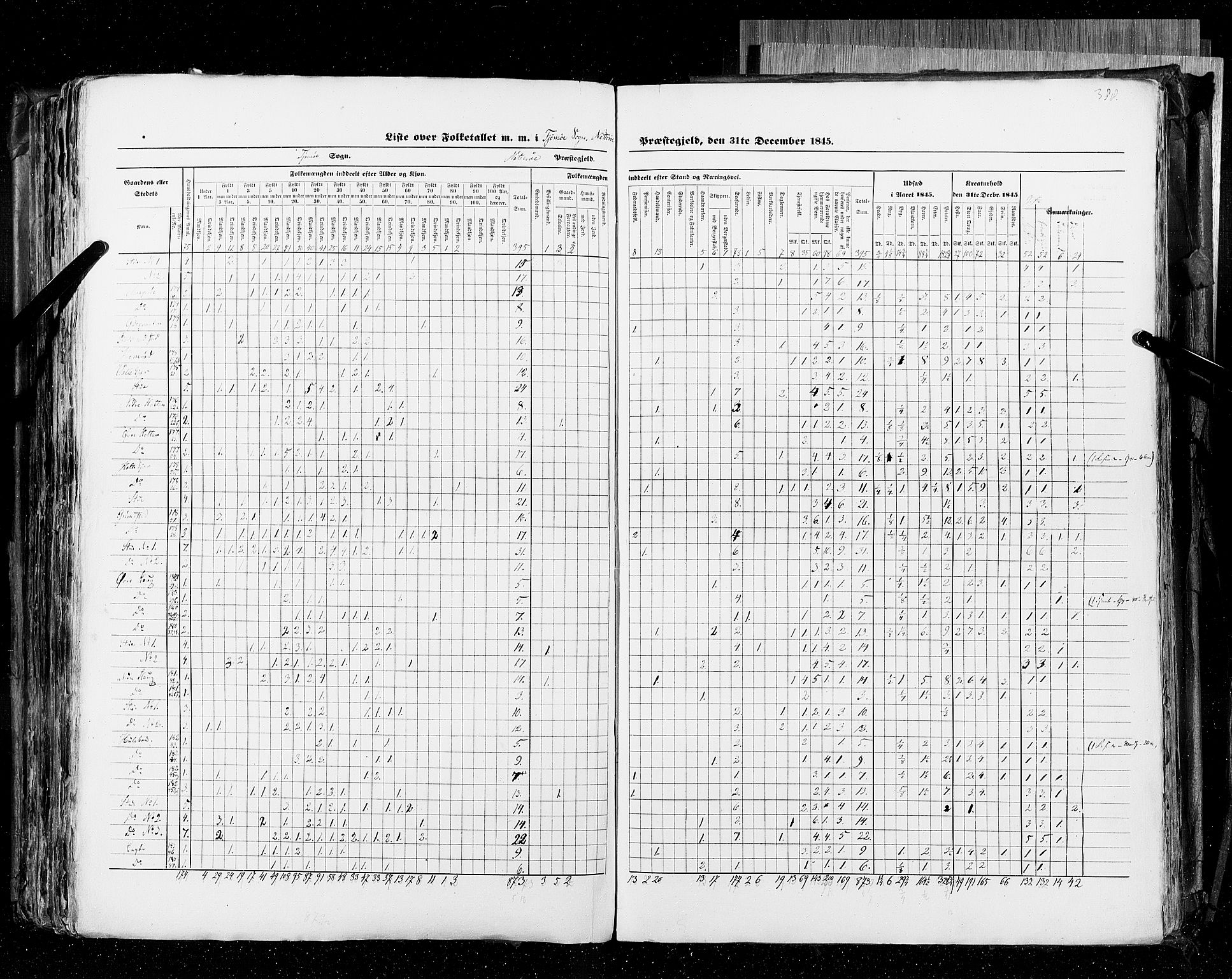 RA, Census 1845, vol. 4: Buskerud amt og Jarlsberg og Larvik amt, 1845, p. 388