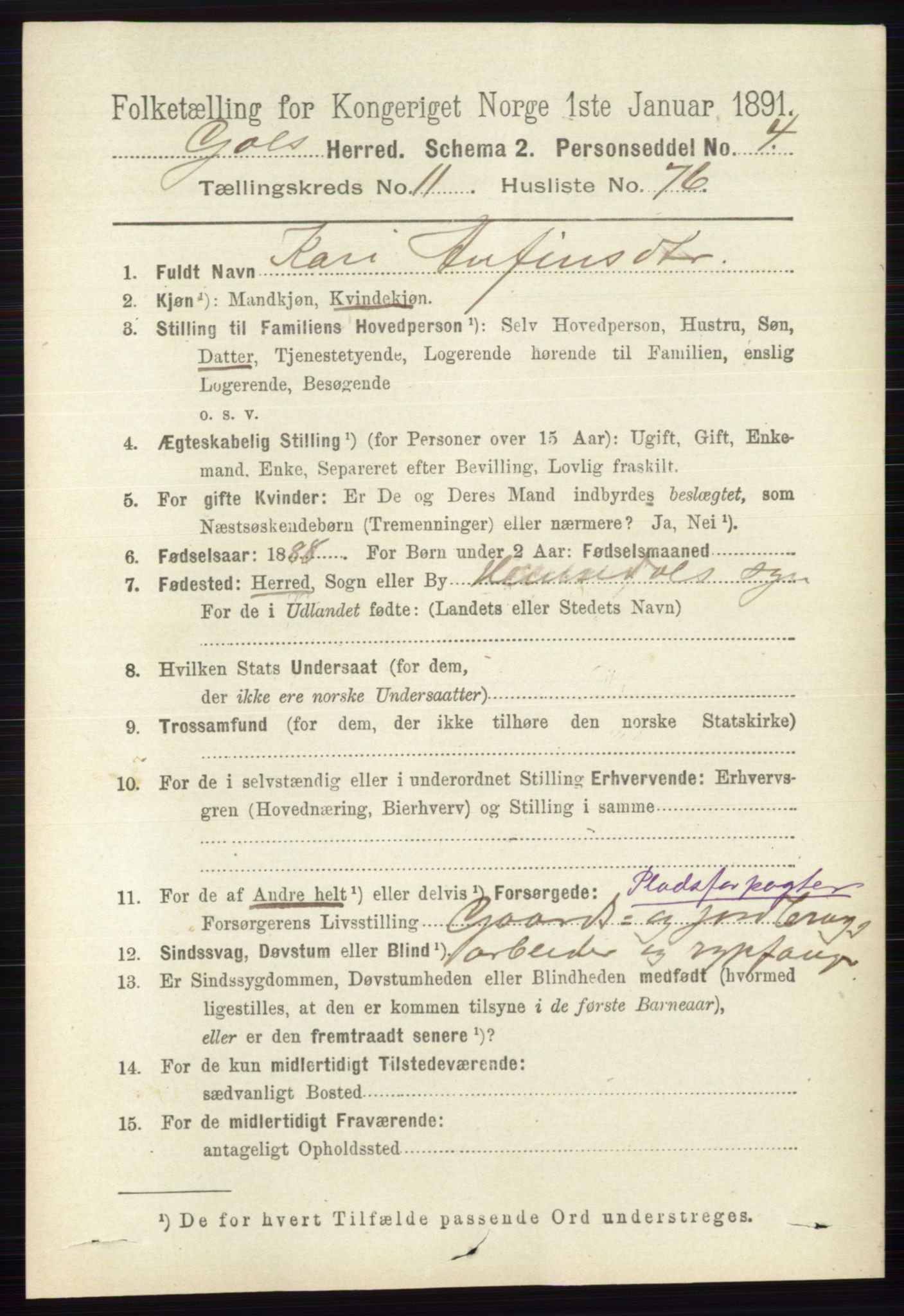 RA, 1891 census for 0617 Gol og Hemsedal, 1891, p. 4817