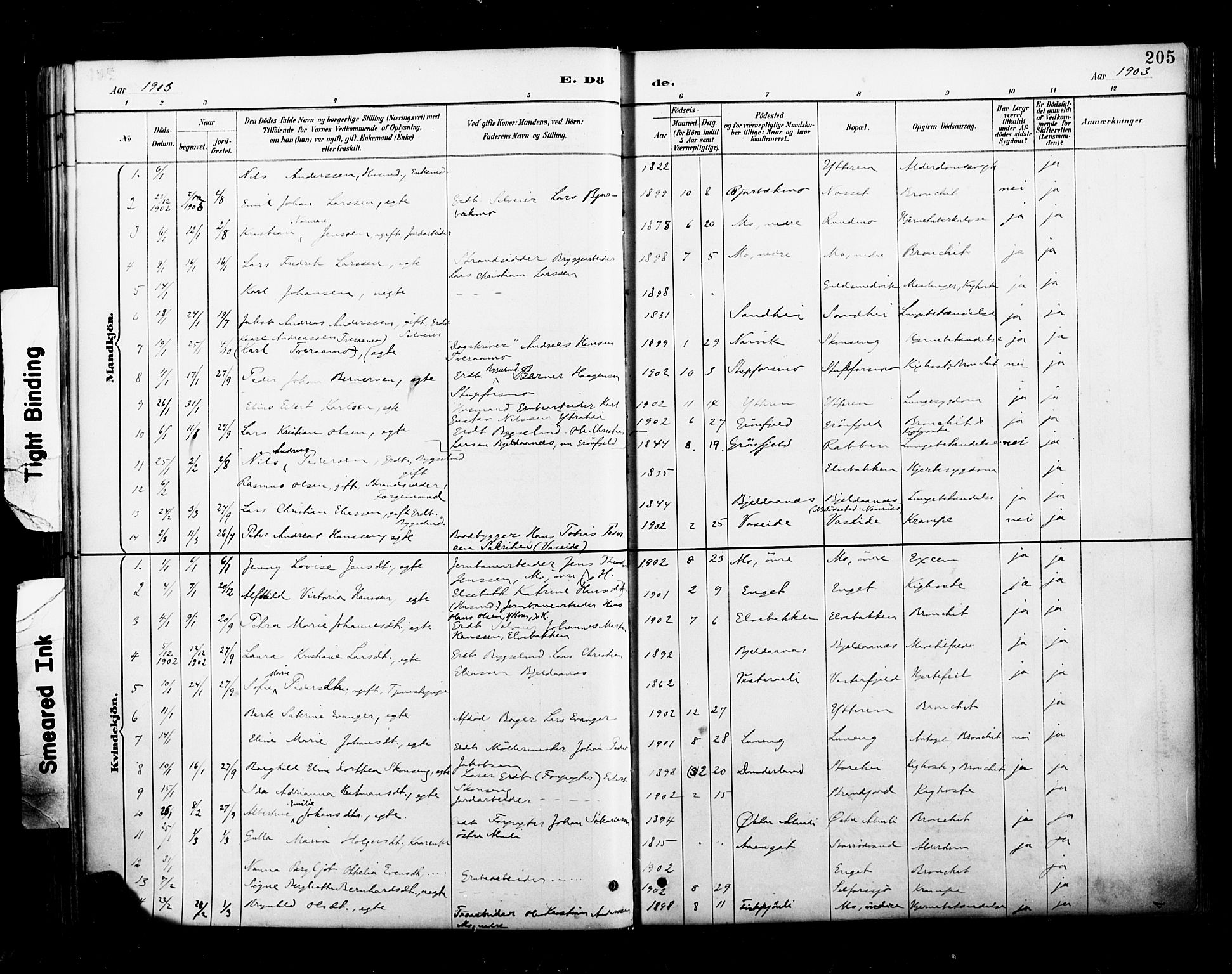 Ministerialprotokoller, klokkerbøker og fødselsregistre - Nordland, SAT/A-1459/827/L0401: Parish register (official) no. 827A13, 1887-1905, p. 205
