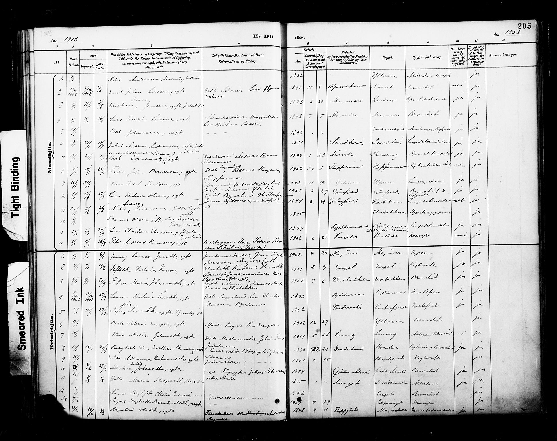 Ministerialprotokoller, klokkerbøker og fødselsregistre - Nordland, AV/SAT-A-1459/827/L0401: Parish register (official) no. 827A13, 1887-1905, p. 205