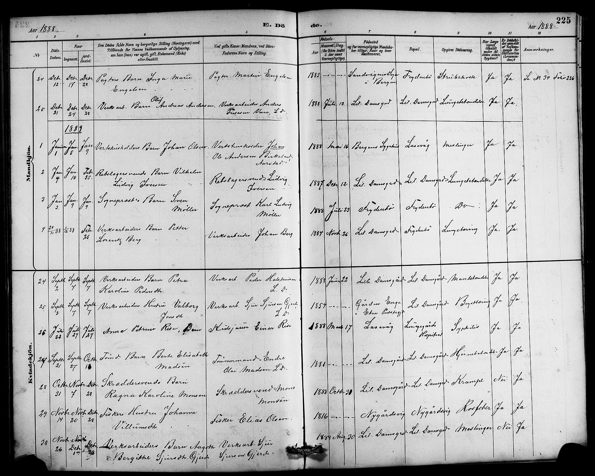 Laksevåg Sokneprestembete, SAB/A-76501/H/Ha/Hab/Haba/L0003: Parish register (copy) no. A 3, 1887-1899, p. 225