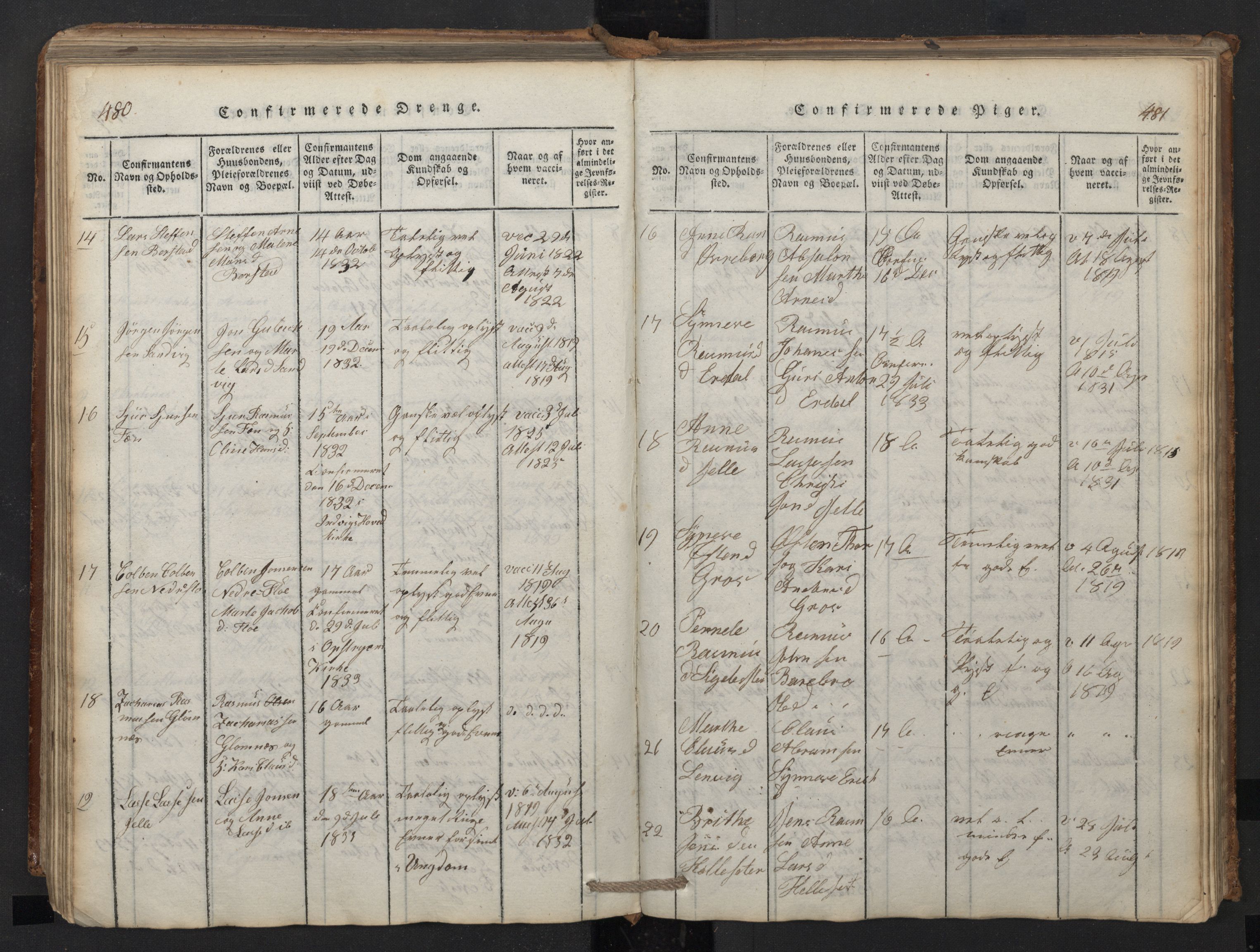 Stryn Sokneprestembete, SAB/A-82501: Parish register (copy) no. A 1, 1816-1844, p. 480-481