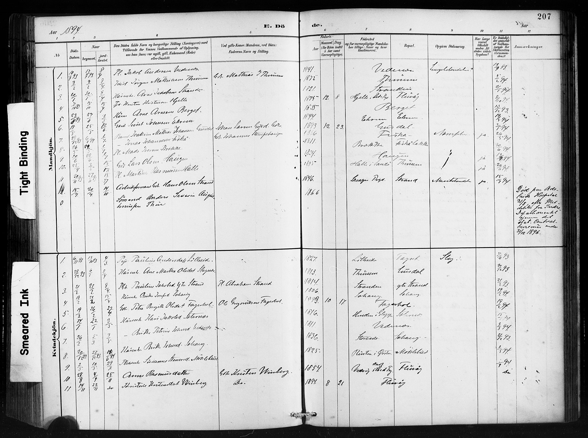 Ministerialprotokoller, klokkerbøker og fødselsregistre - Møre og Romsdal, AV/SAT-A-1454/501/L0008: Parish register (official) no. 501A08, 1885-1901, p. 207