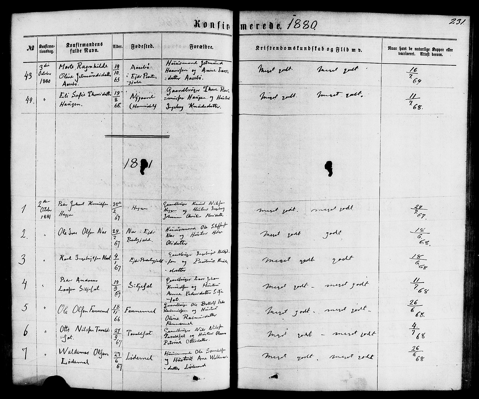 Hornindal sokneprestembete, SAB/A-82401/H/Haa/Haaa/L0002: Parish register (official) no. A 2, 1867-1884, p. 231