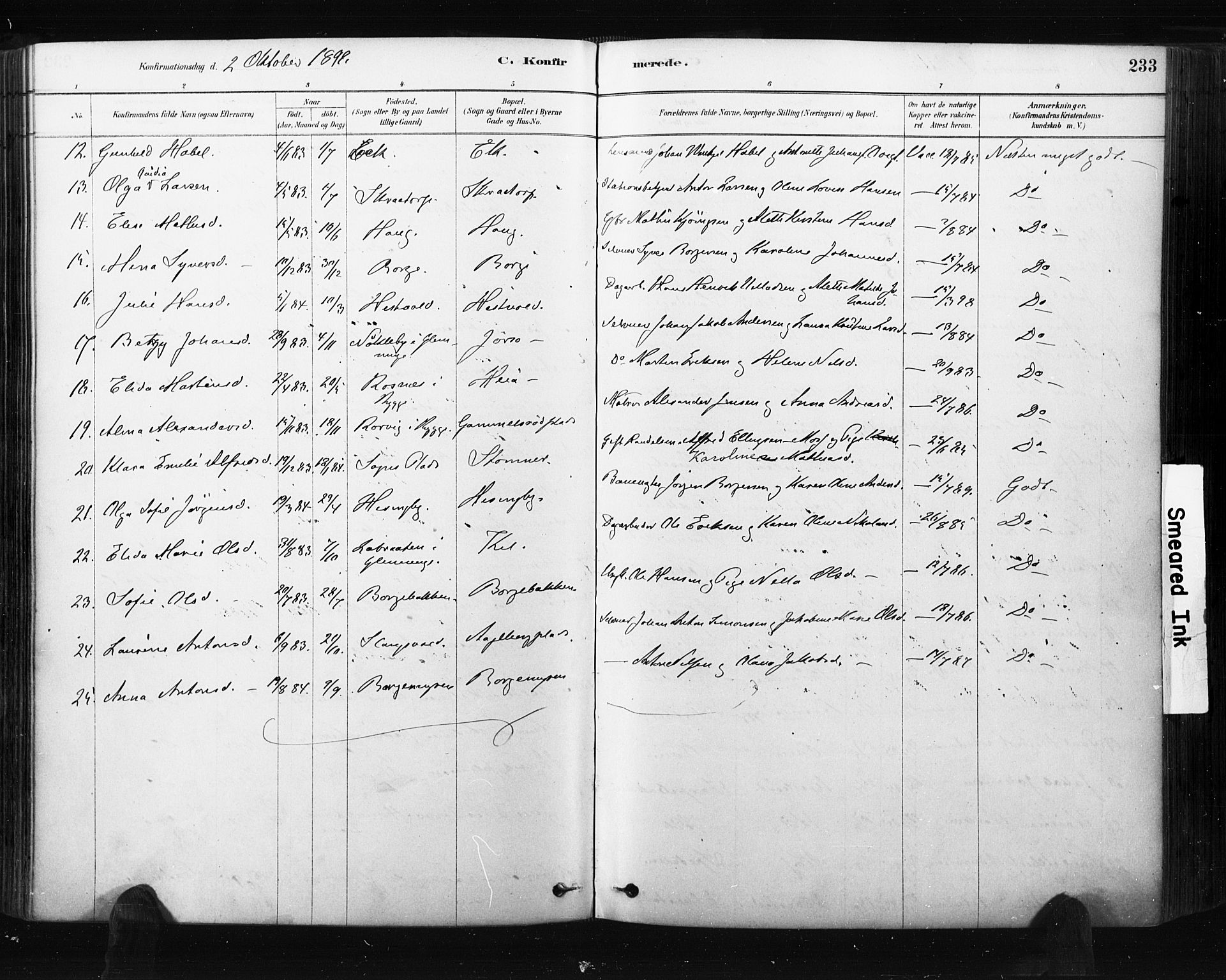 Råde prestekontor kirkebøker, AV/SAO-A-2009/F/Fa/L0007: Parish register (official) no. 7, 1878-1902, p. 233