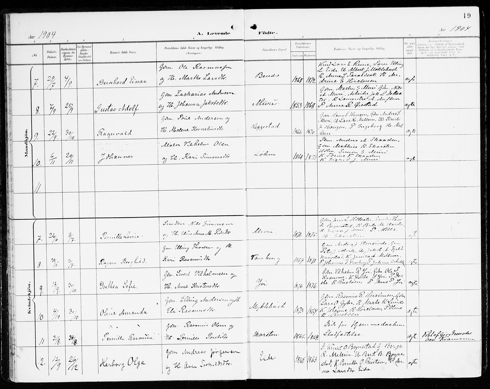 Innvik sokneprestembete, AV/SAB-A-80501: Parish register (official) no. C 2, 1900-1920, p. 19