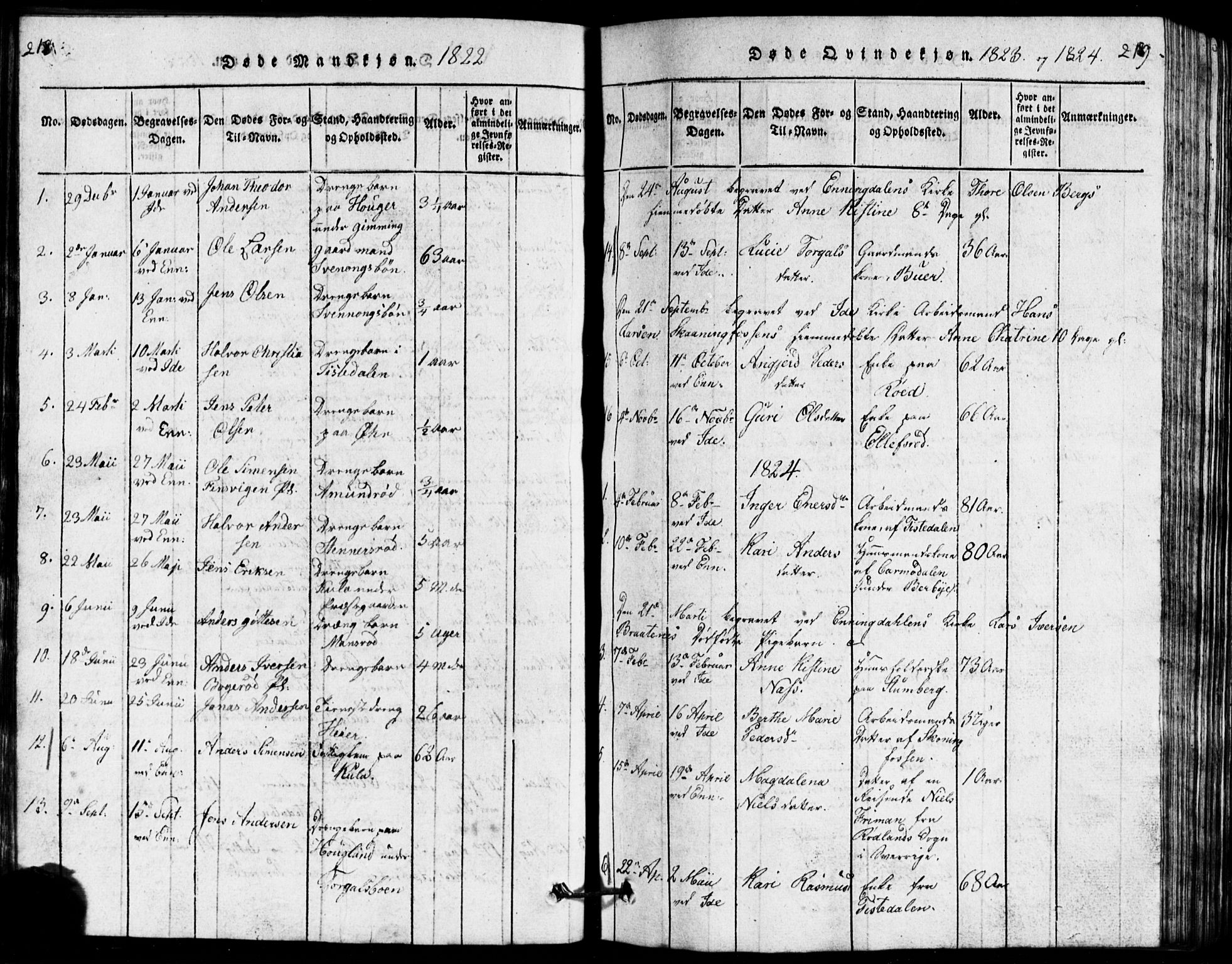 Idd prestekontor Kirkebøker, AV/SAO-A-10911/G/Ga/L0001: Parish register (copy) no. I 1, 1815-1826, p. 218-219