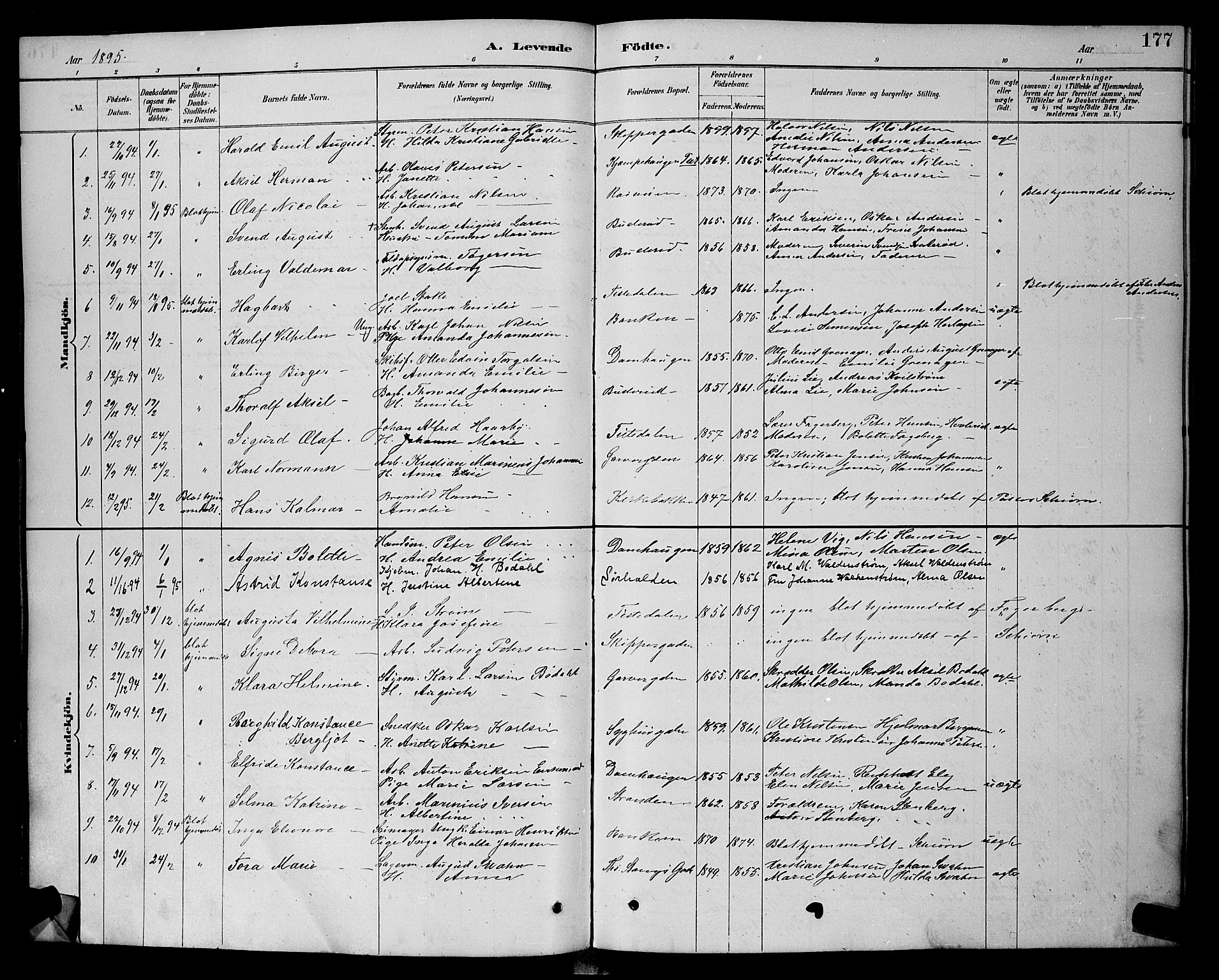 Halden prestekontor Kirkebøker, SAO/A-10909/G/Ga/L0008: Parish register (copy) no. 8, 1885-1899, p. 177
