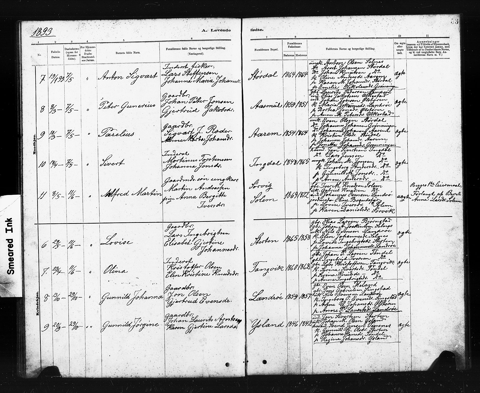 Ministerialprotokoller, klokkerbøker og fødselsregistre - Sør-Trøndelag, SAT/A-1456/663/L0761: Parish register (copy) no. 663C01, 1880-1893, p. 53