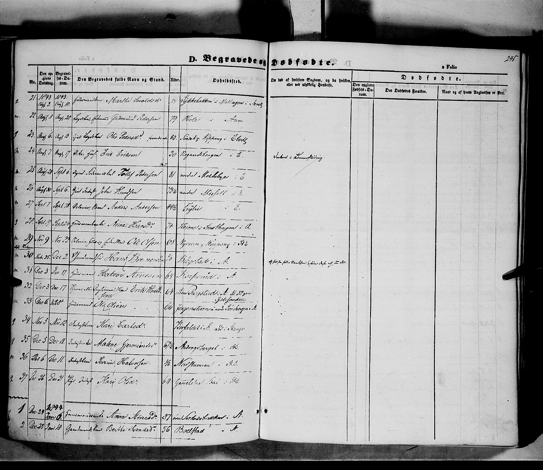 Åmot prestekontor, Hedmark, SAH/PREST-056/H/Ha/Haa/L0006: Parish register (official) no. 6, 1842-1861, p. 245