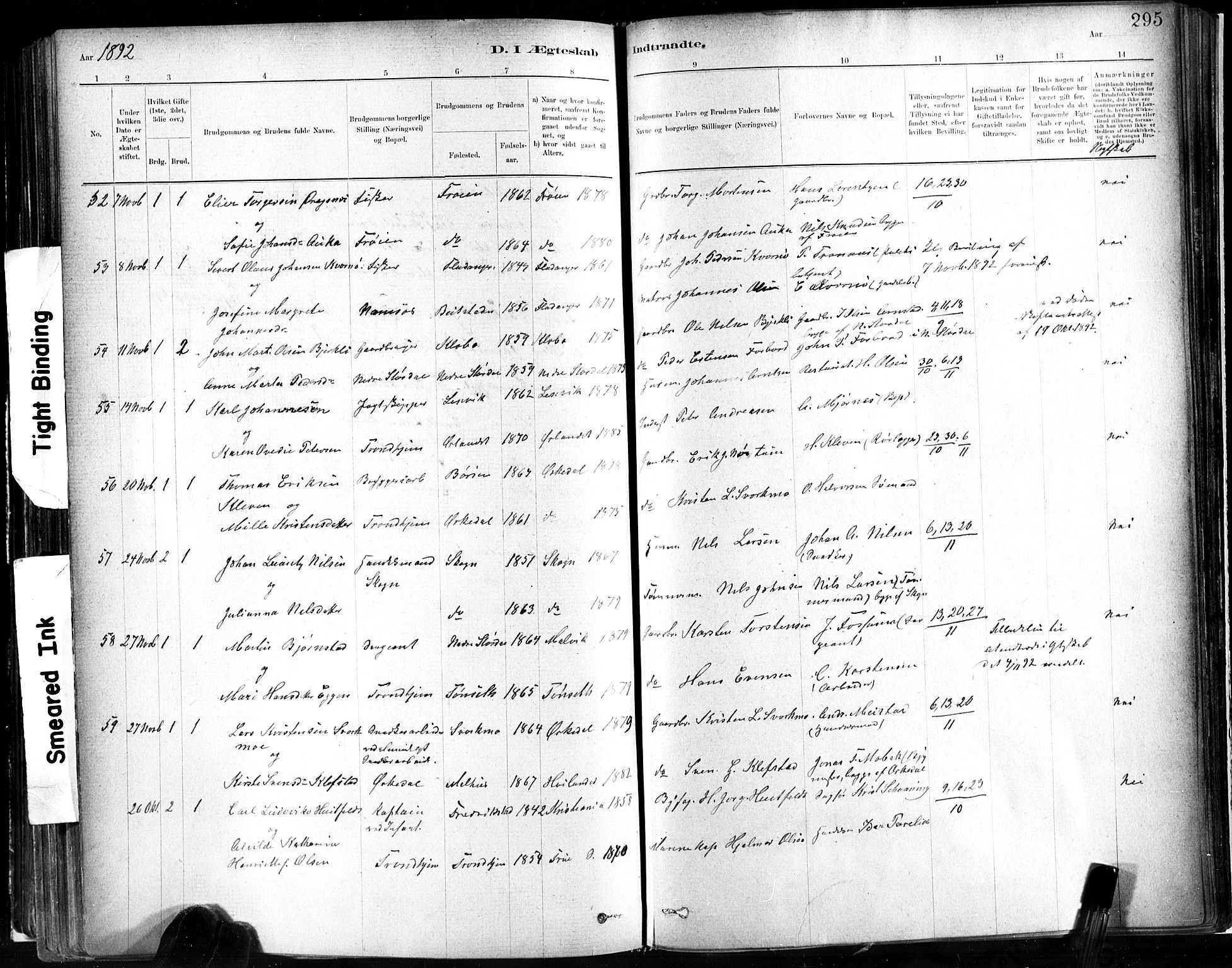 Ministerialprotokoller, klokkerbøker og fødselsregistre - Sør-Trøndelag, SAT/A-1456/602/L0119: Parish register (official) no. 602A17, 1880-1901, p. 295