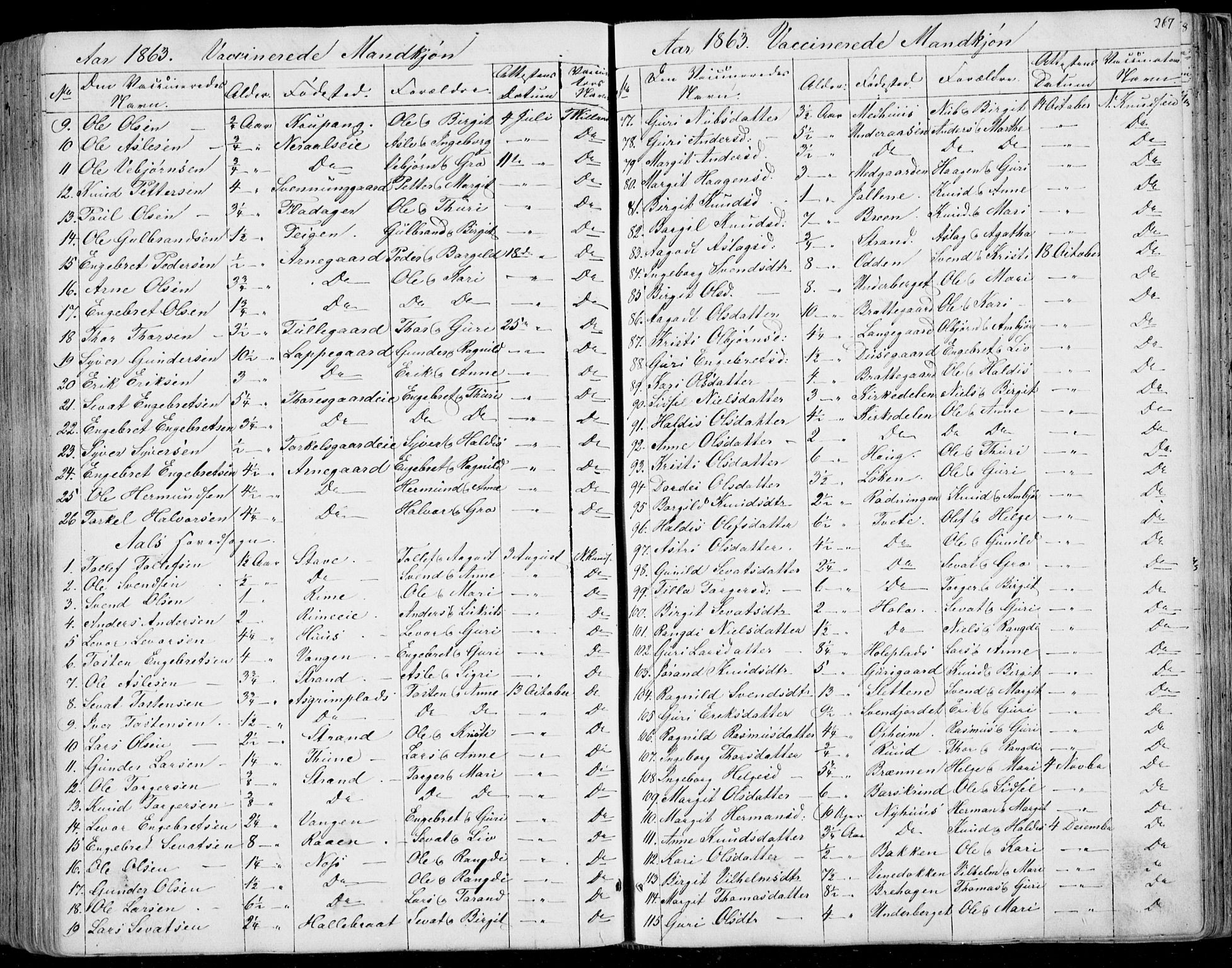 Ål kirkebøker, SAKO/A-249/F/Fa/L0006: Parish register (official) no. I 6, 1849-1864, p. 267