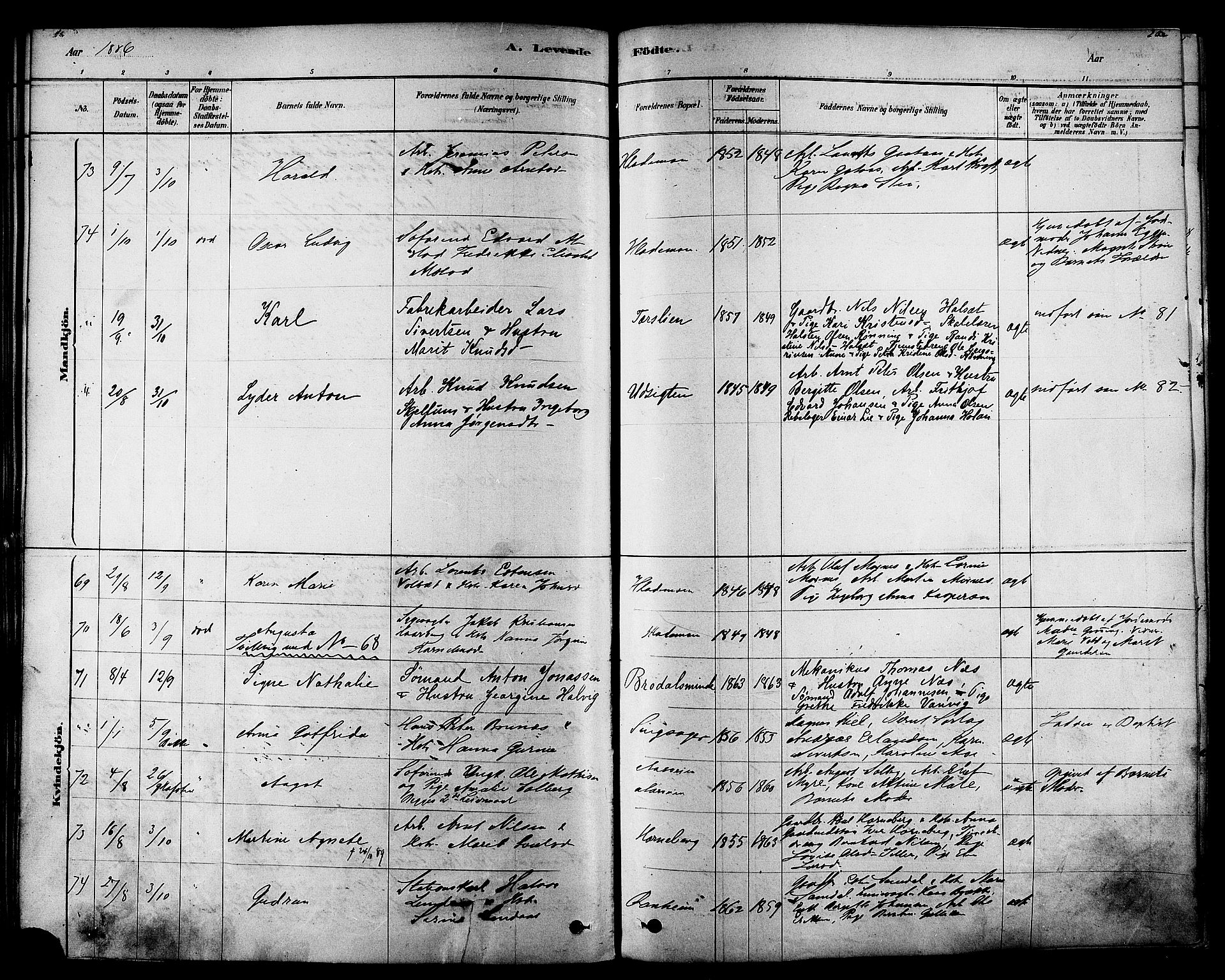 Ministerialprotokoller, klokkerbøker og fødselsregistre - Sør-Trøndelag, SAT/A-1456/606/L0294: Parish register (official) no. 606A09, 1878-1886, p. 201