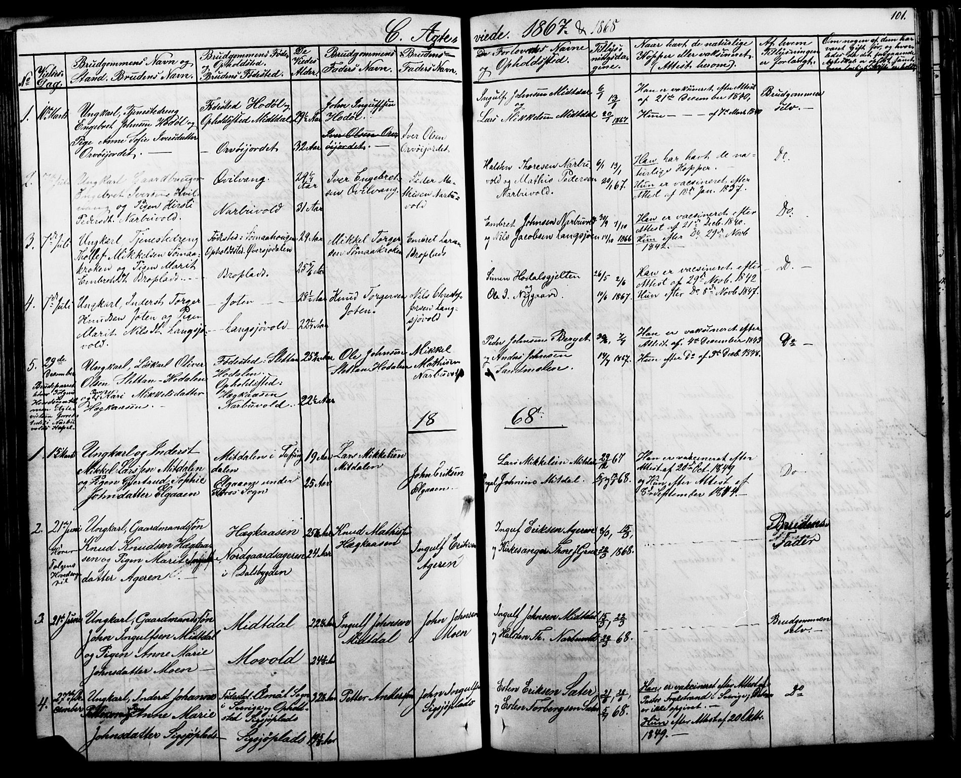 Tolga prestekontor, AV/SAH-PREST-062/L/L0006: Parish register (copy) no. 6, 1864-1894, p. 101