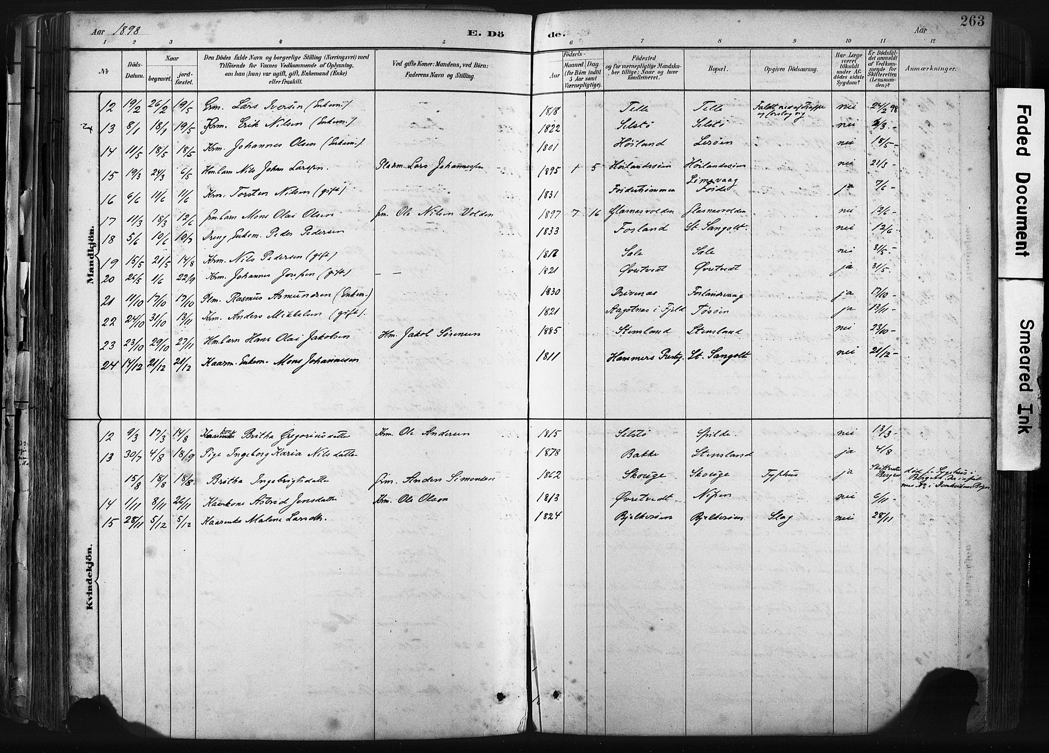 Sund sokneprestembete, AV/SAB-A-99930: Parish register (official) no. B 1, 1882-1907, p. 263